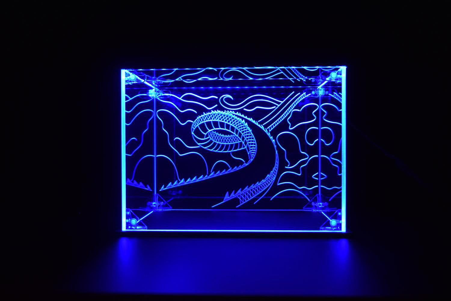 Dragon Ball Z LED Display Case for Action Figures