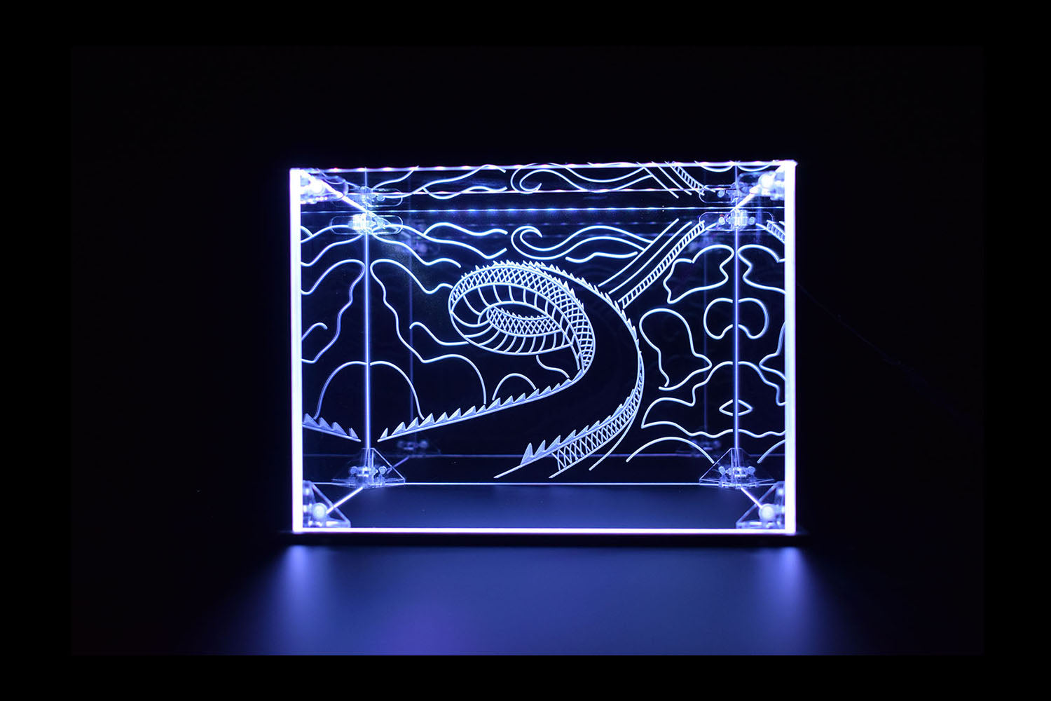 Dragon Ball Z LED Display Case for Action Figures