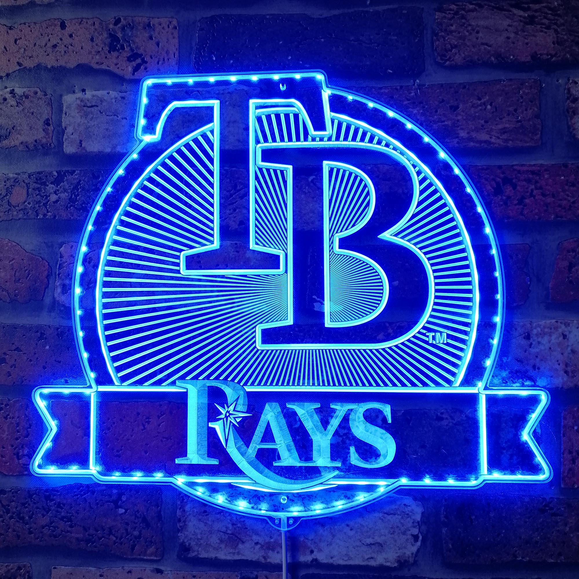 Tampa Bay Rays Dynamic RGB Edge Lit LED Sign