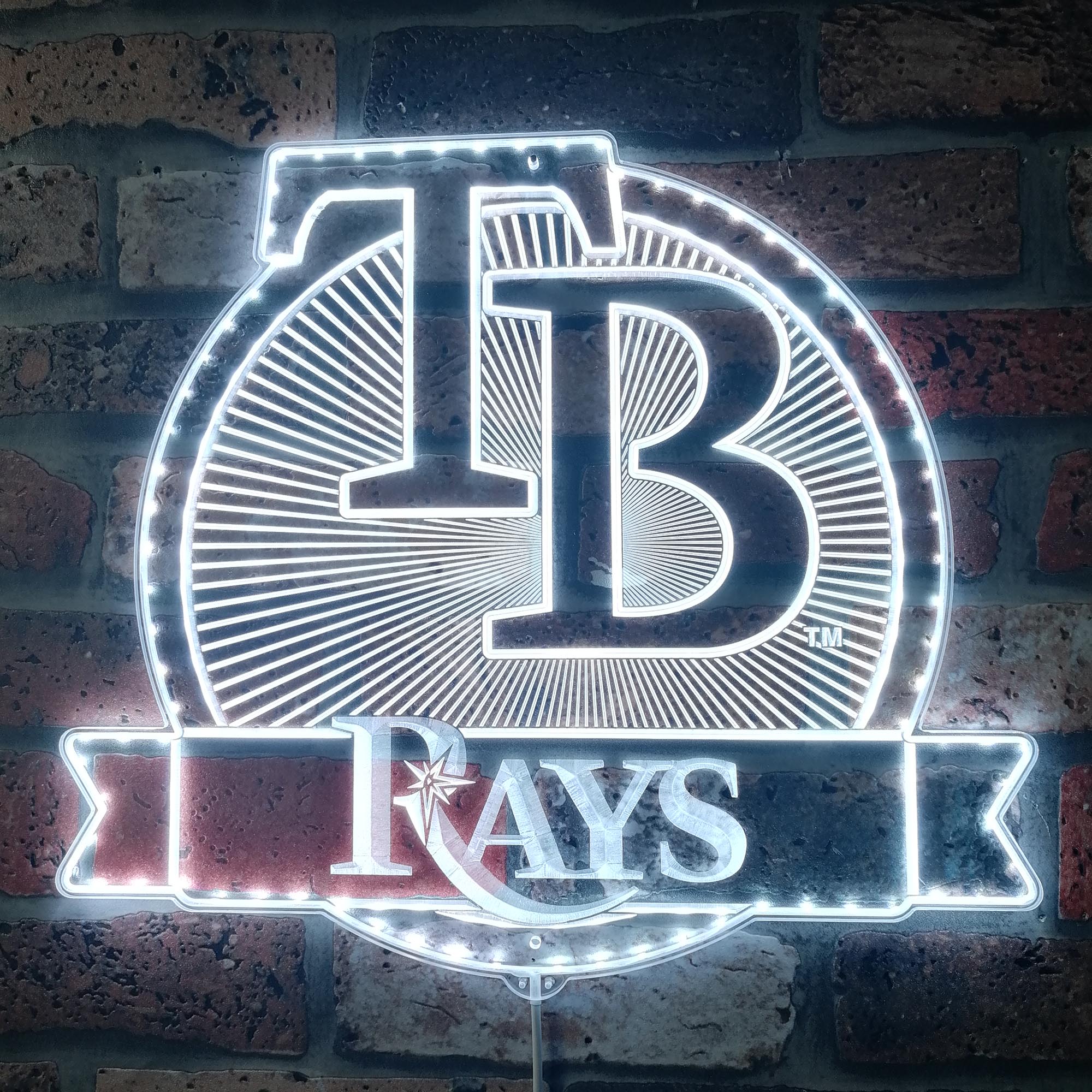 Tampa Bay Rays Dynamic RGB Edge Lit LED Sign