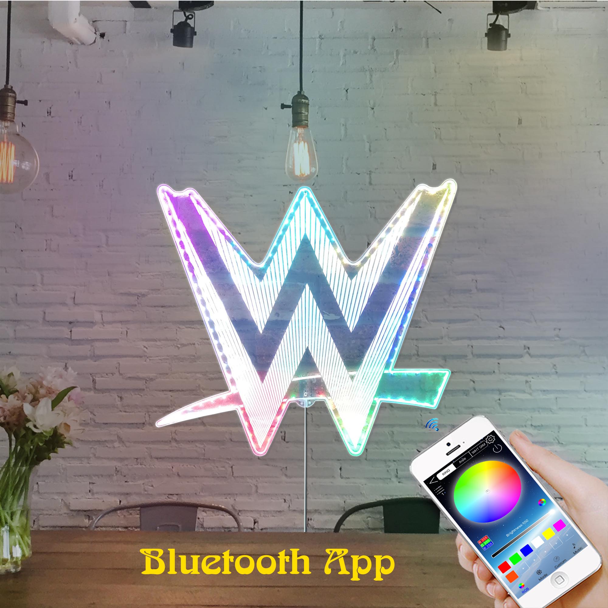 WWE Dynamic RGB Edge Lit LED Sign