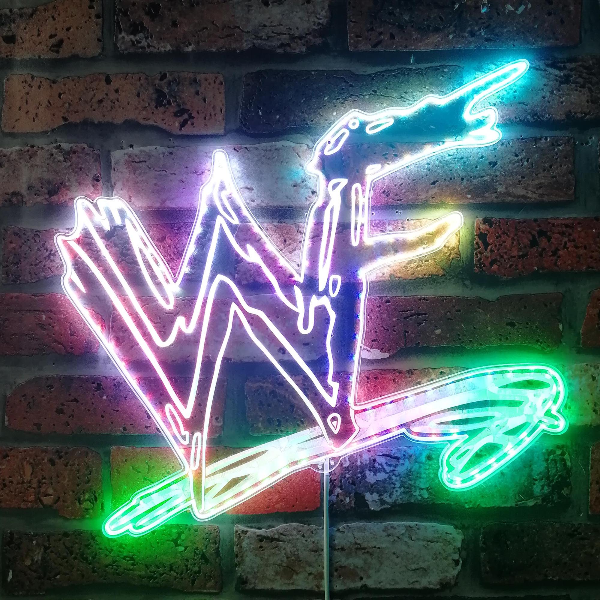 WWE Dynamic RGB Edge Lit LED Sign