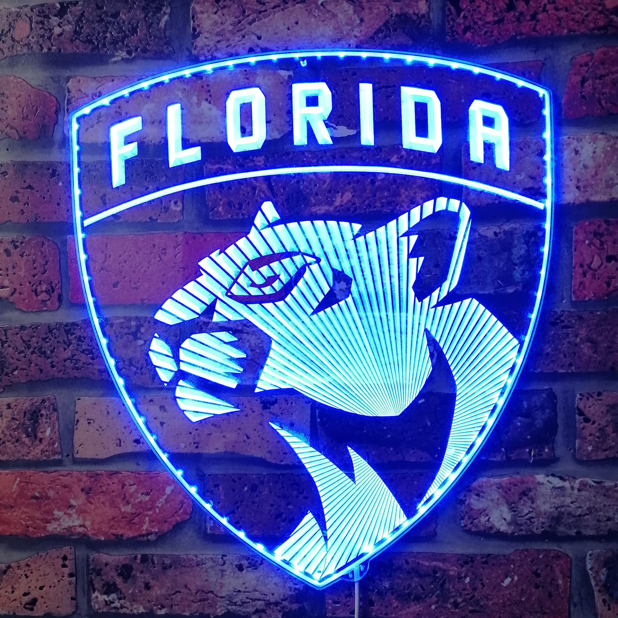 Florida Panthers Dynamic RGB Edge Lit LED Sign