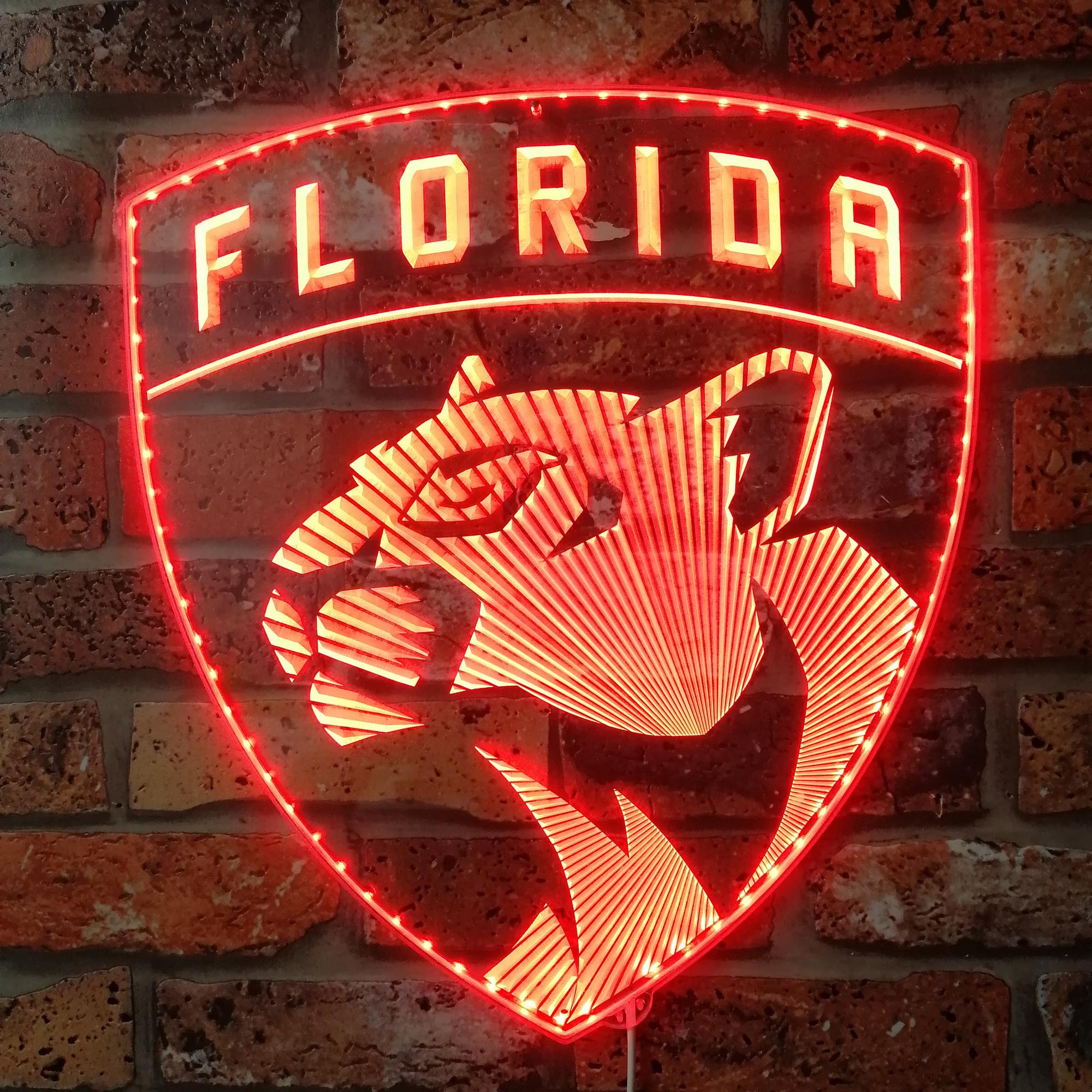 Florida Panthers Dynamic RGB Edge Lit LED Sign