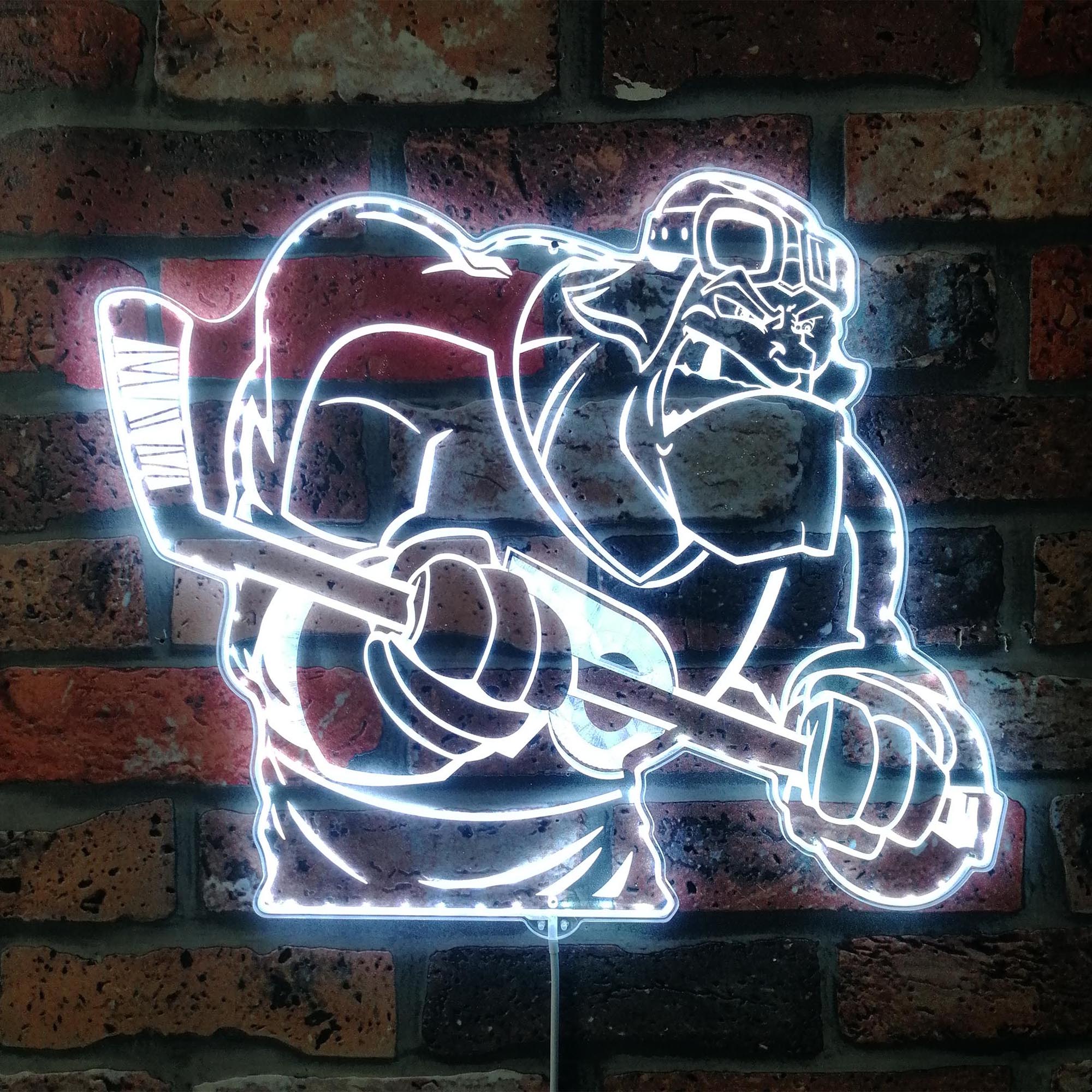 Philadelphia Flyers Mascot Dynamic RGB Edge Lit LED Sign