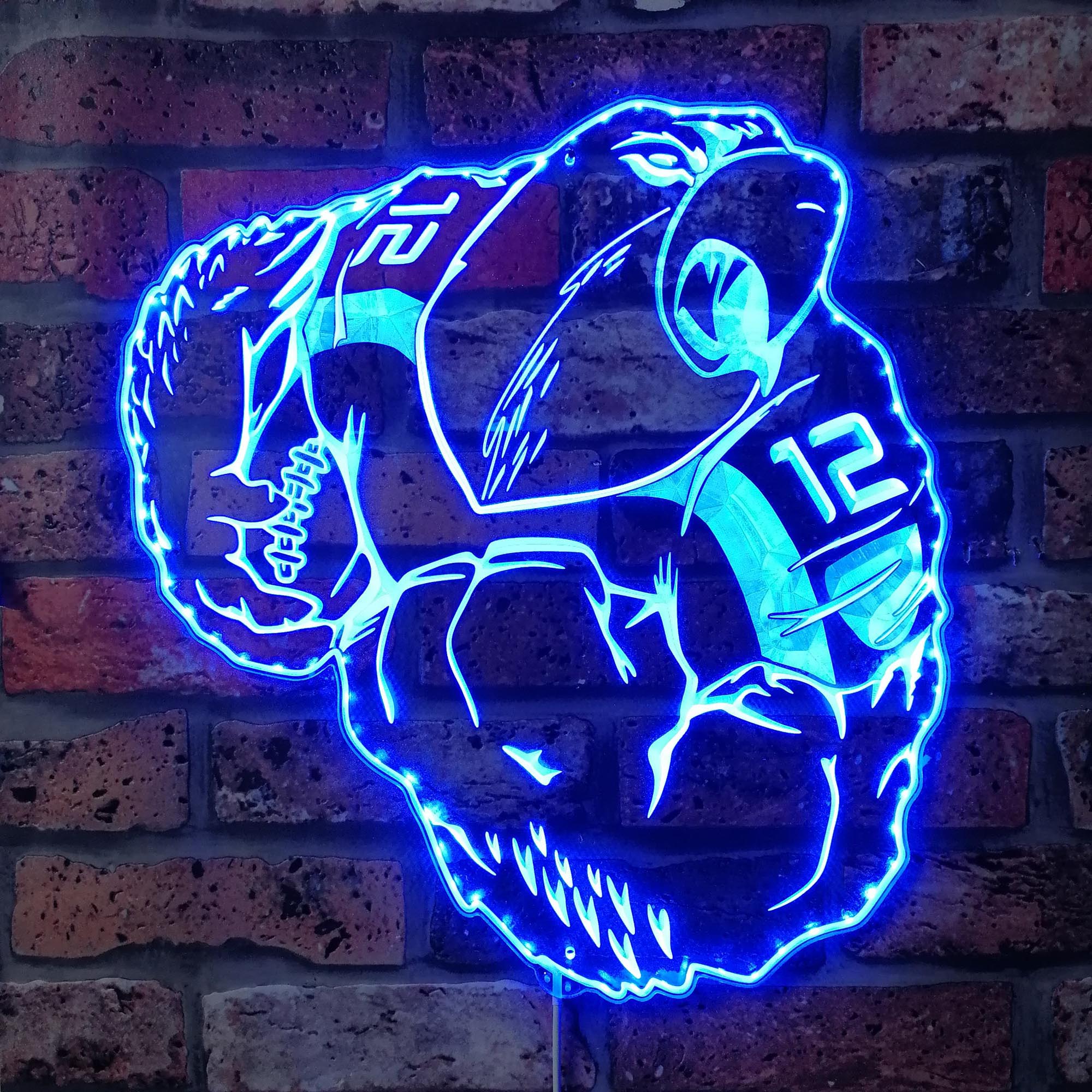 Seattle Seahawks Mascot Dynamic RGB Edge Lit LED Sign