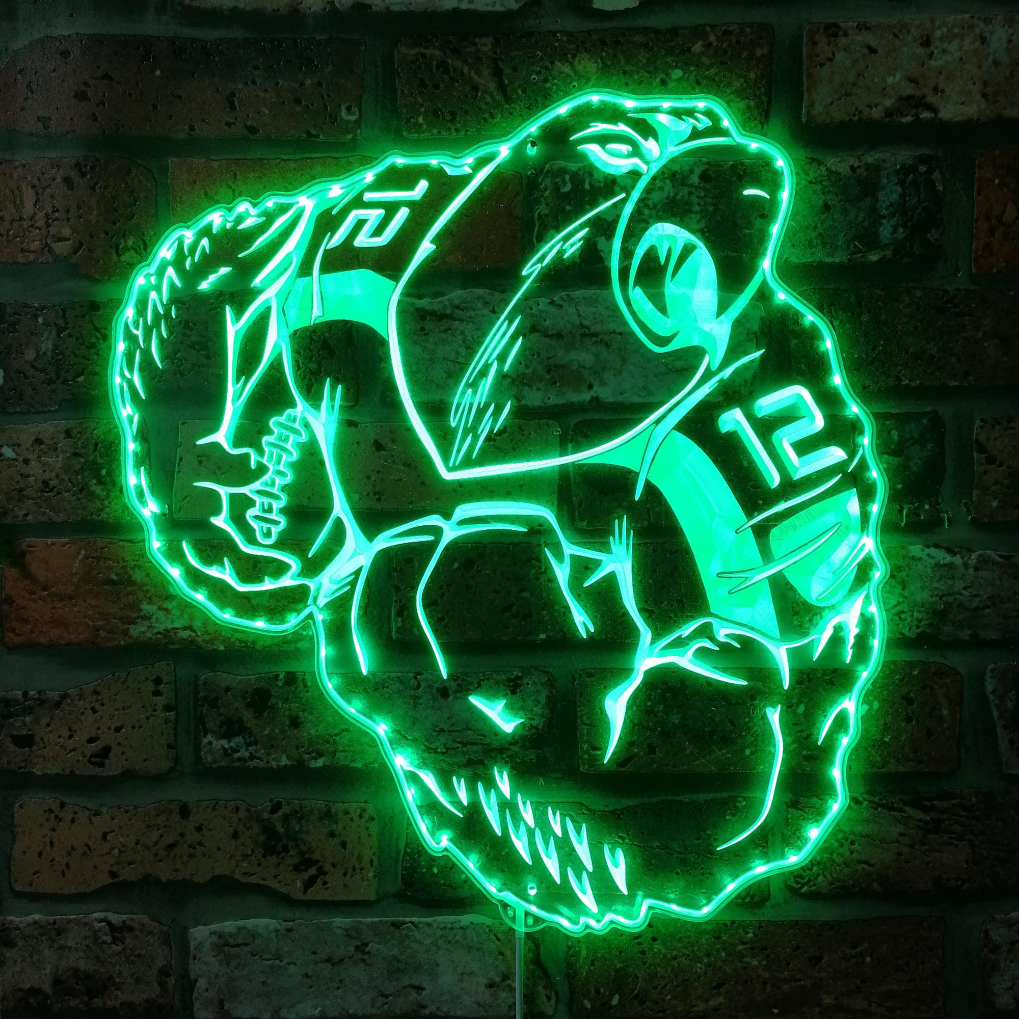 Seattle Seahawks Mascot Dynamic RGB Edge Lit LED Sign