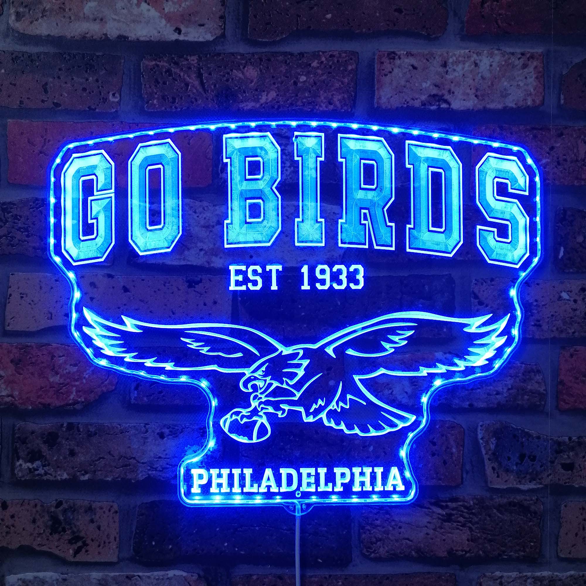 Philadelphia Eagles go birds Dynamic RGB Edge Lit LED Sign