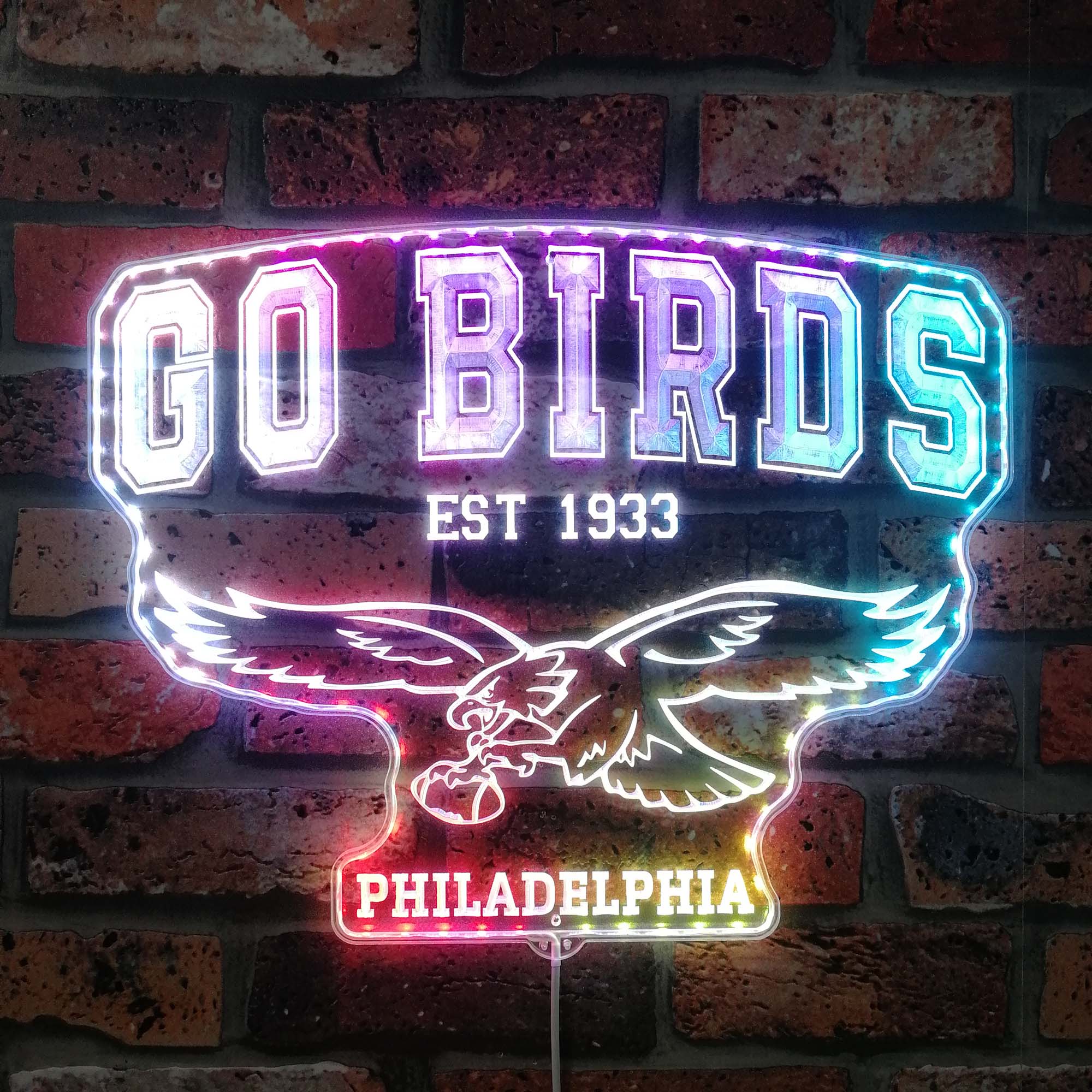 Philadelphia Eagles go birds Dynamic RGB Edge Lit LED Sign