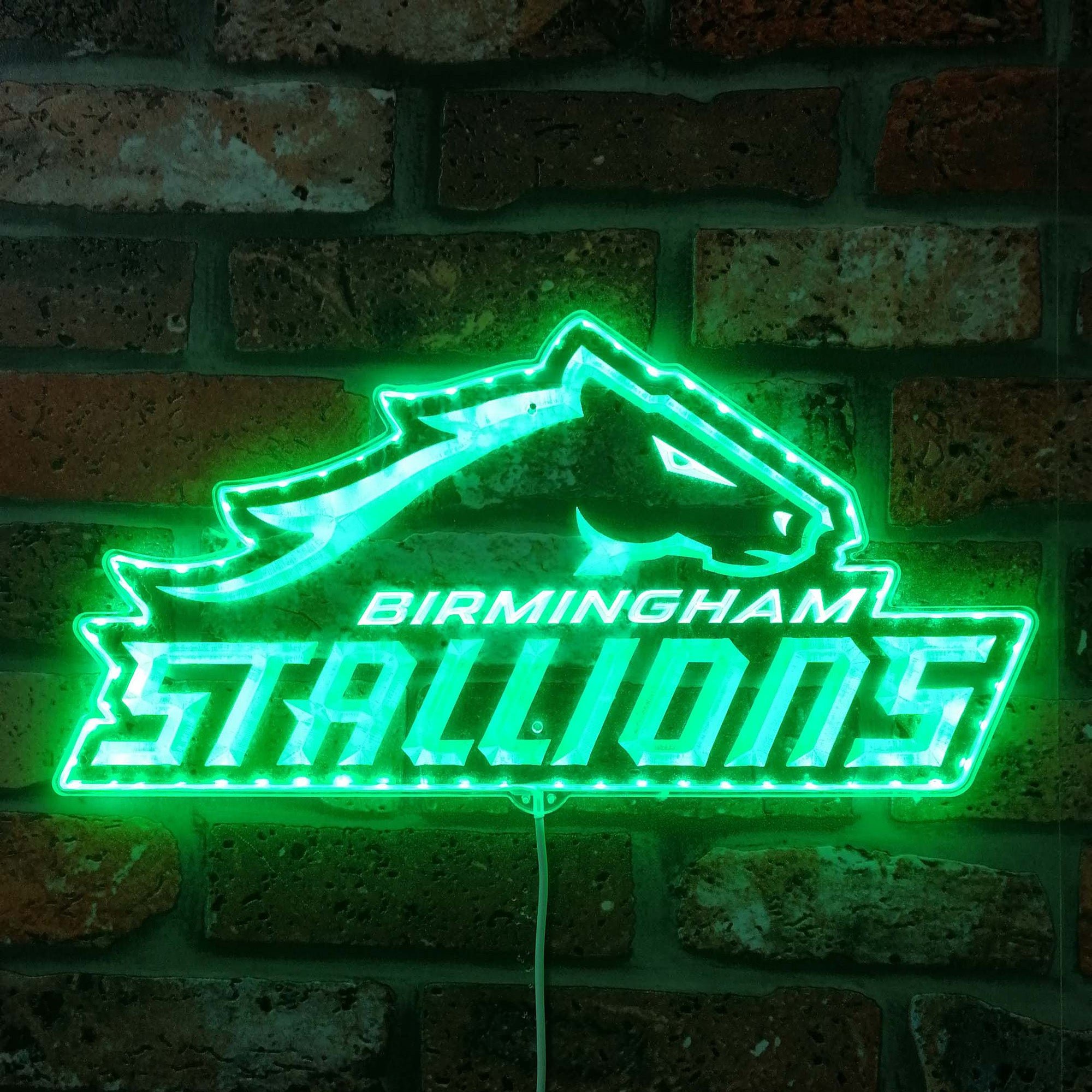 Birmingham Stallions Neon LED Sign with Dynamic RGB Colors