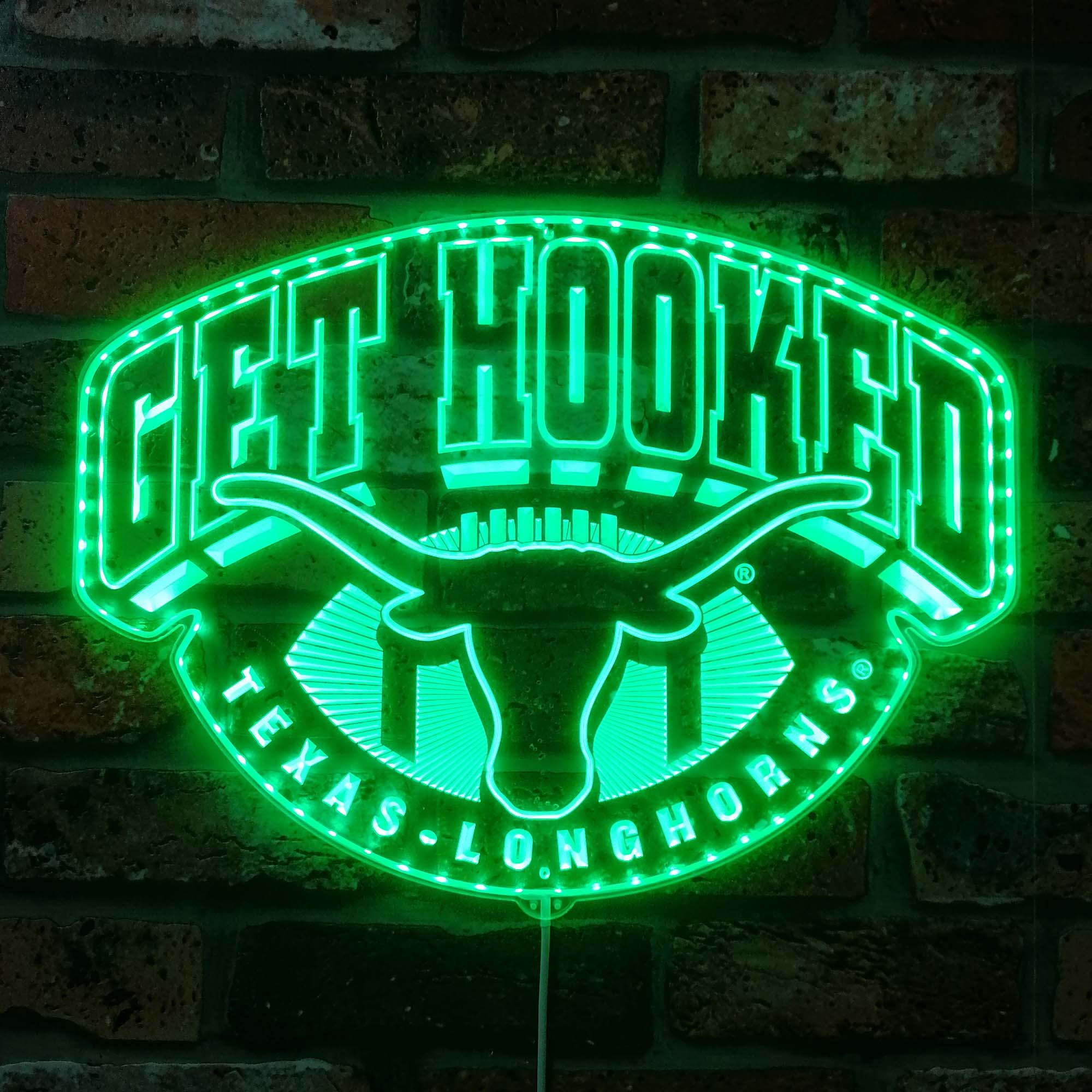 Texas Longhorn Neon LED Sign with Dynamic RGB Colors