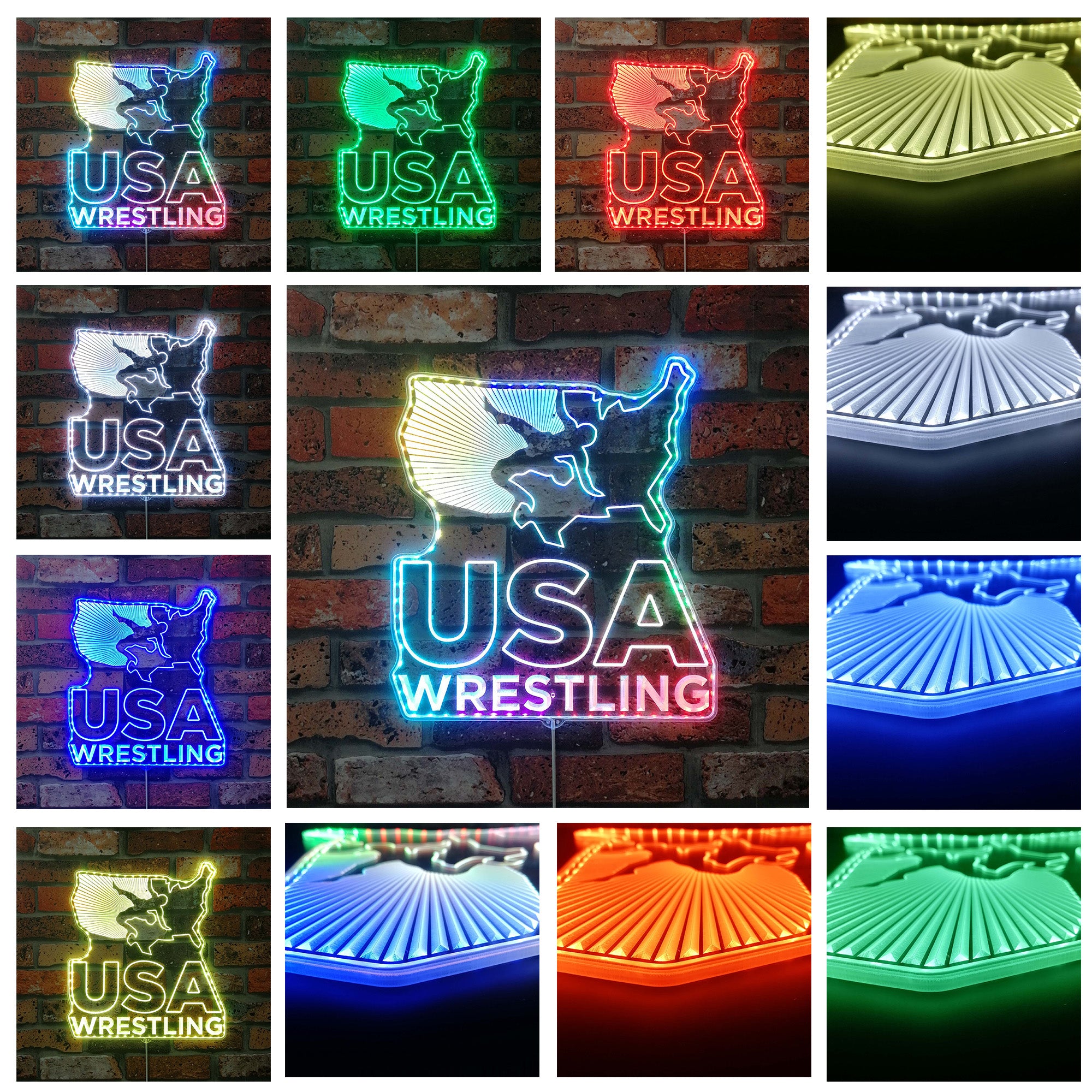 USA Wrestling Neon Neon LED Sign with Dynamic RGB Colors