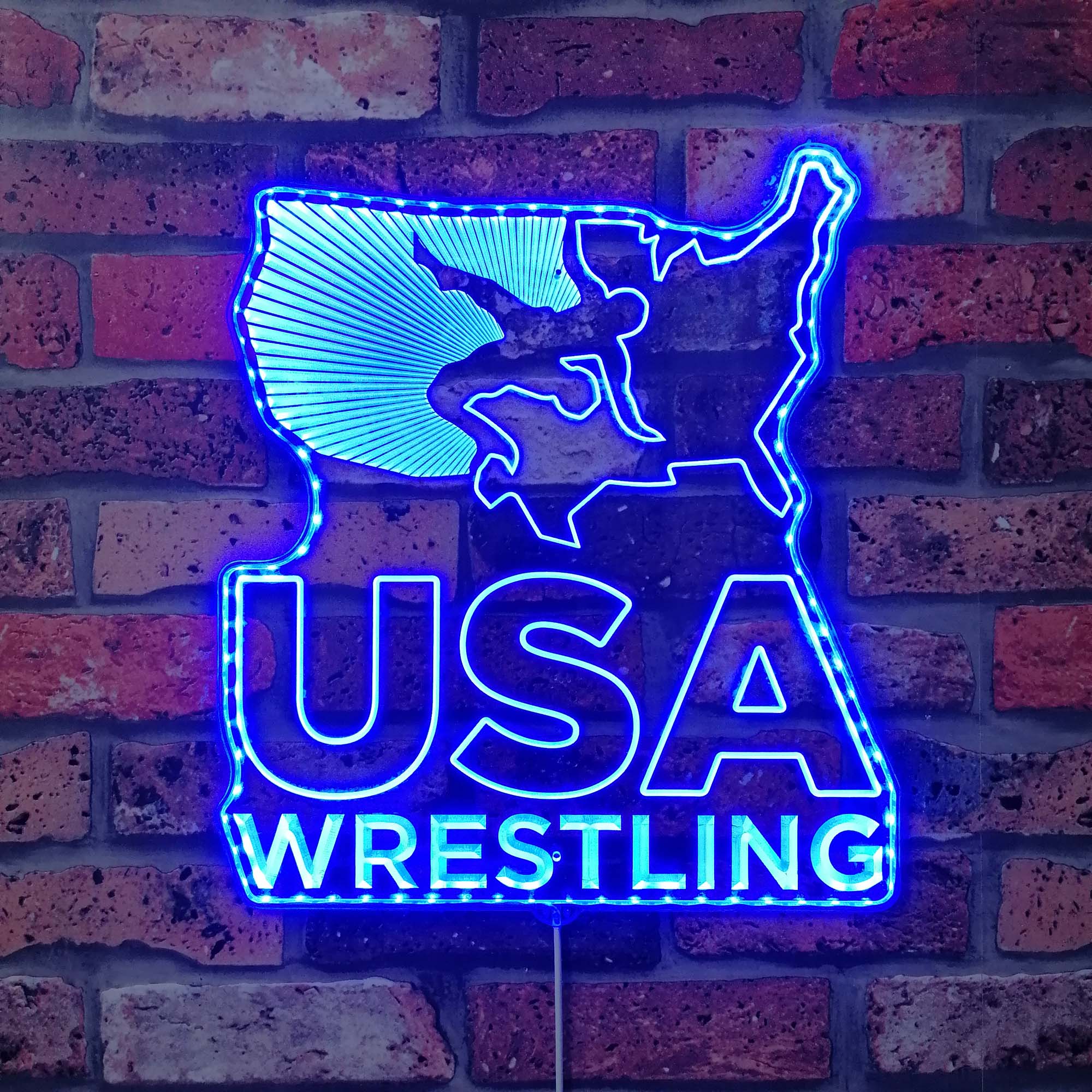 USA Wrestling Neon Neon LED Sign with Dynamic RGB Colors