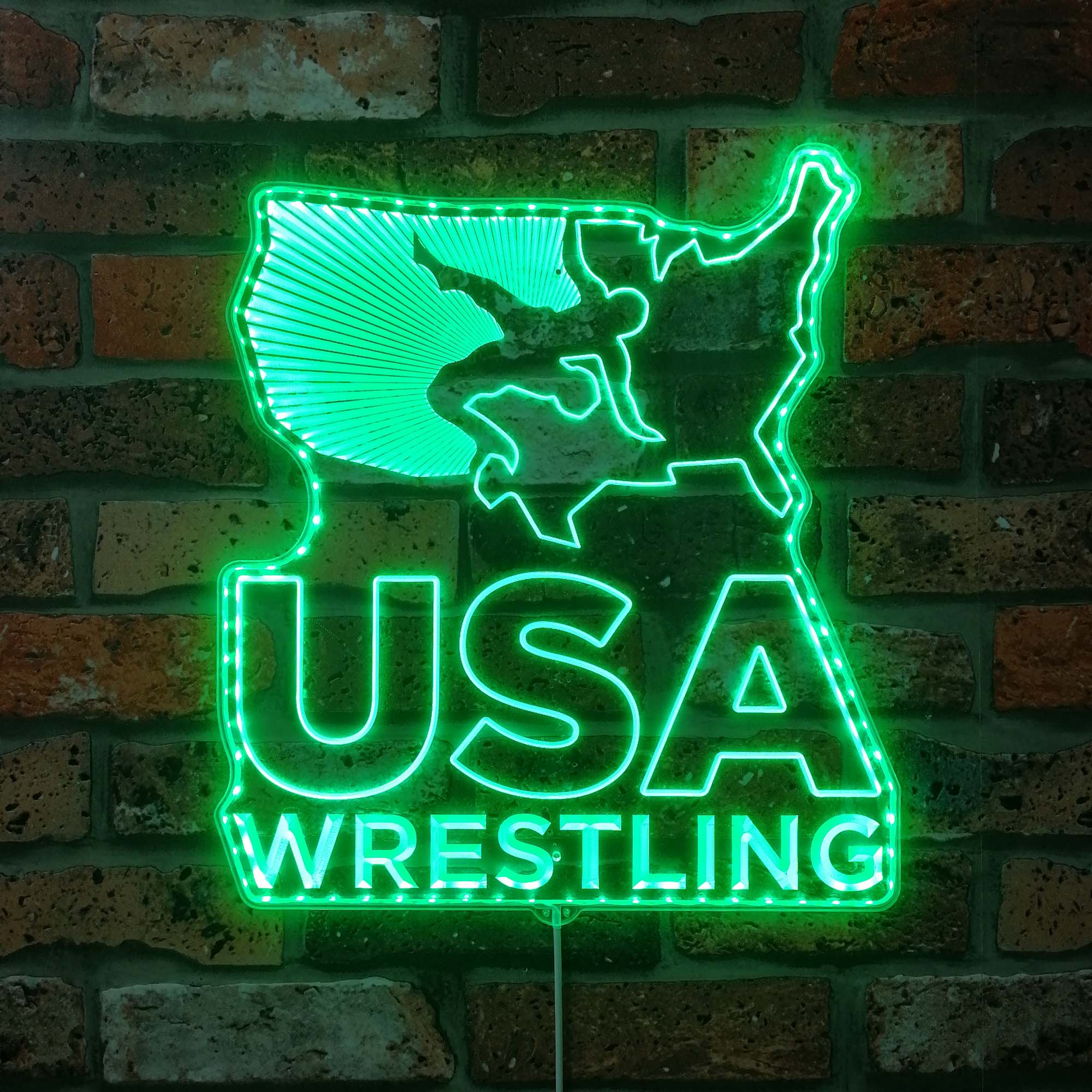 USA Wrestling Neon Neon LED Sign with Dynamic RGB Colors