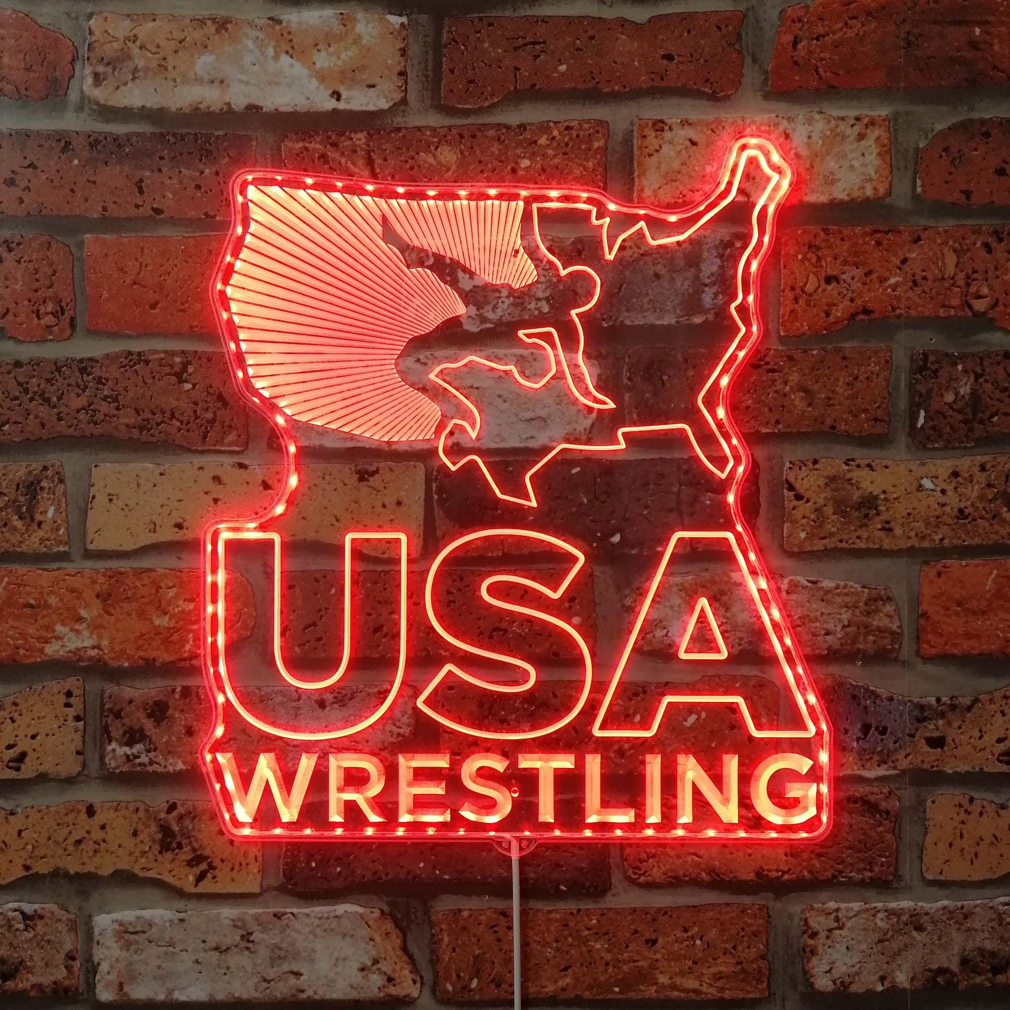 USA Wrestling Neon Neon LED Sign with Dynamic RGB Colors
