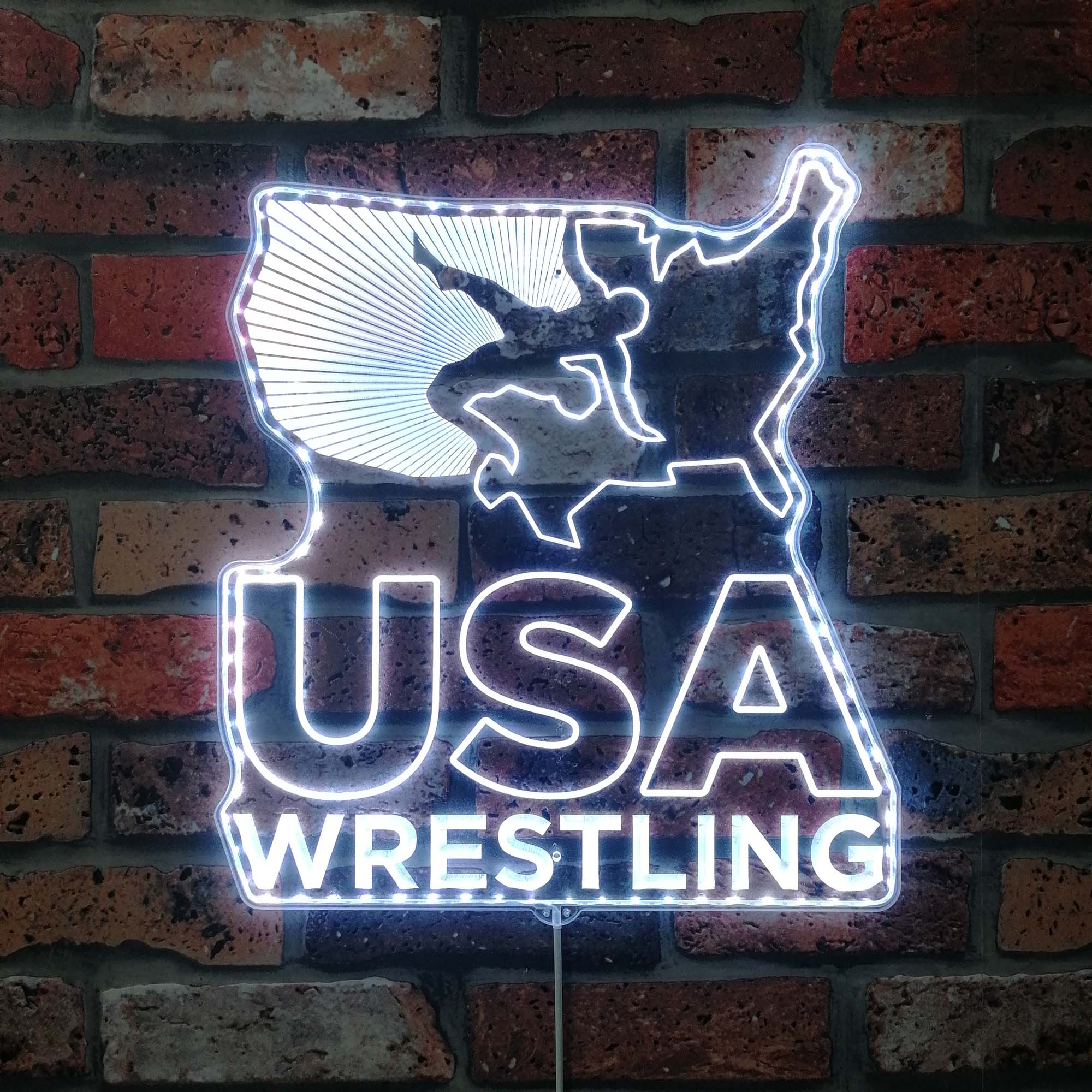 USA Wrestling Neon Neon LED Sign with Dynamic RGB Colors