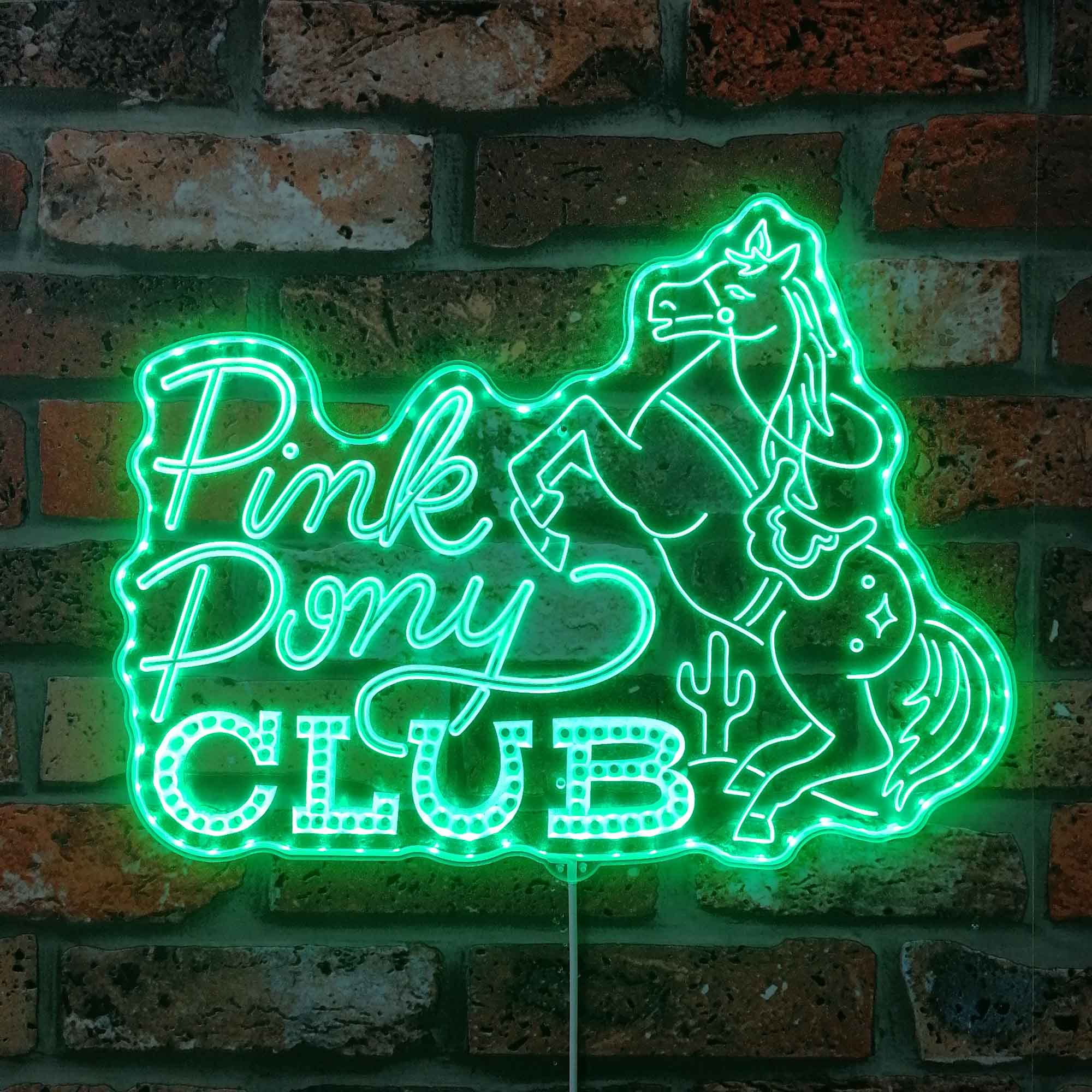 Pink Pony Club Neon LED Sign with Dynamic RGB Colors