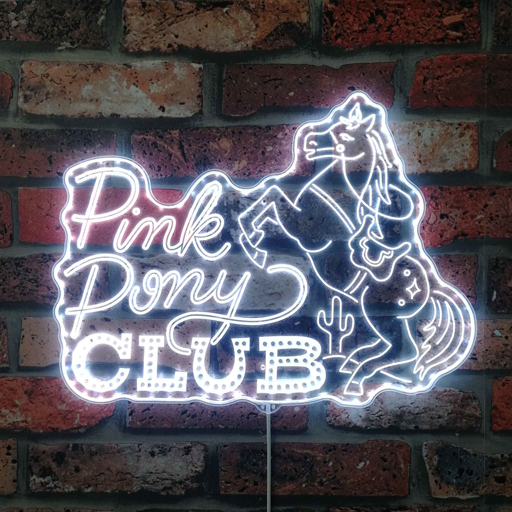 Pink Pony Club Neon LED Sign with Dynamic RGB Colors