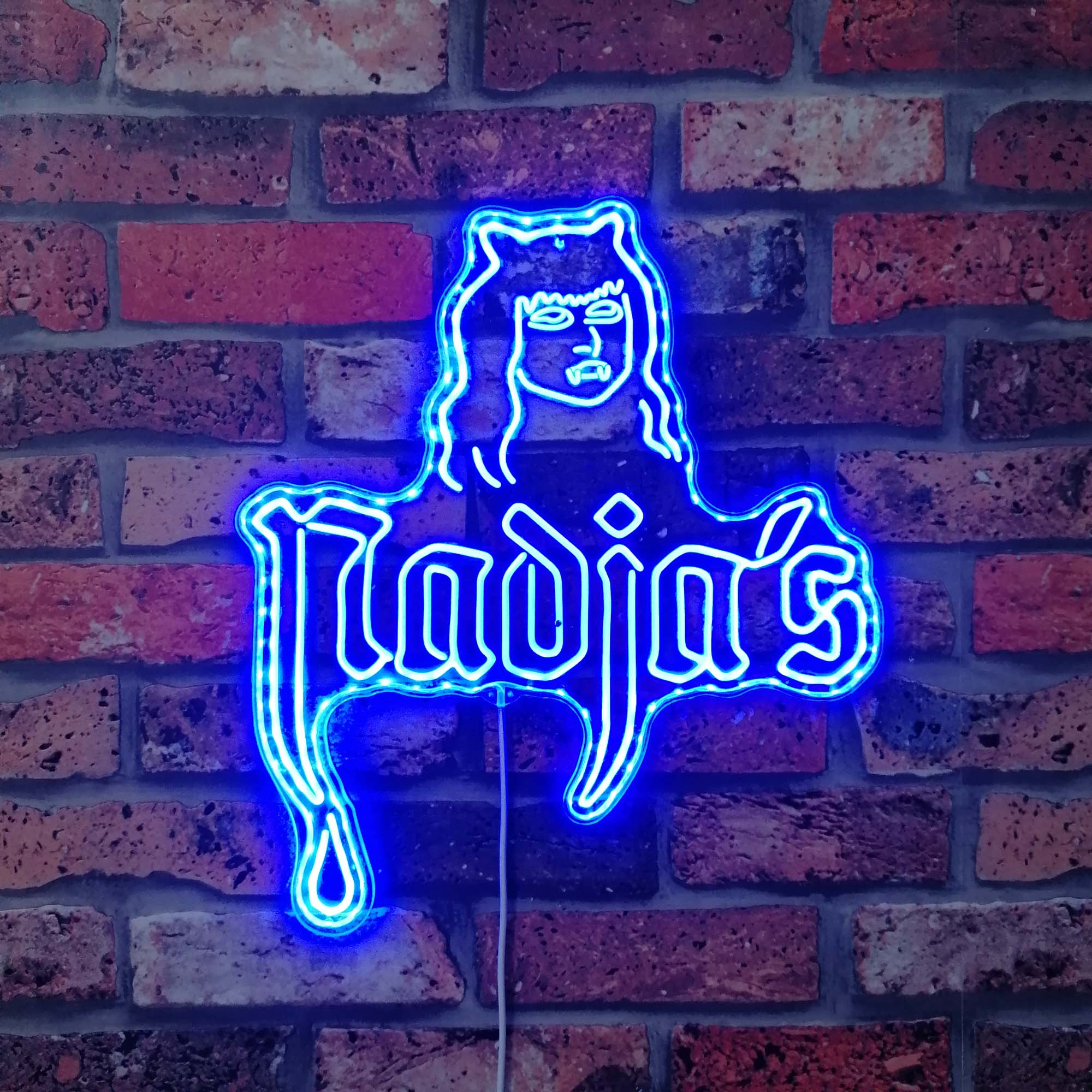 Nadja's Nightclub Neon LED Sign with Dynamic RGB Colors