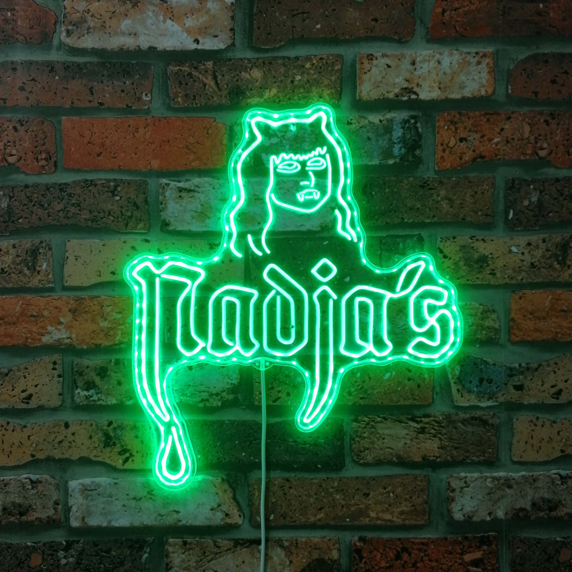 Nadja's Nightclub Neon LED Sign with Dynamic RGB Colors