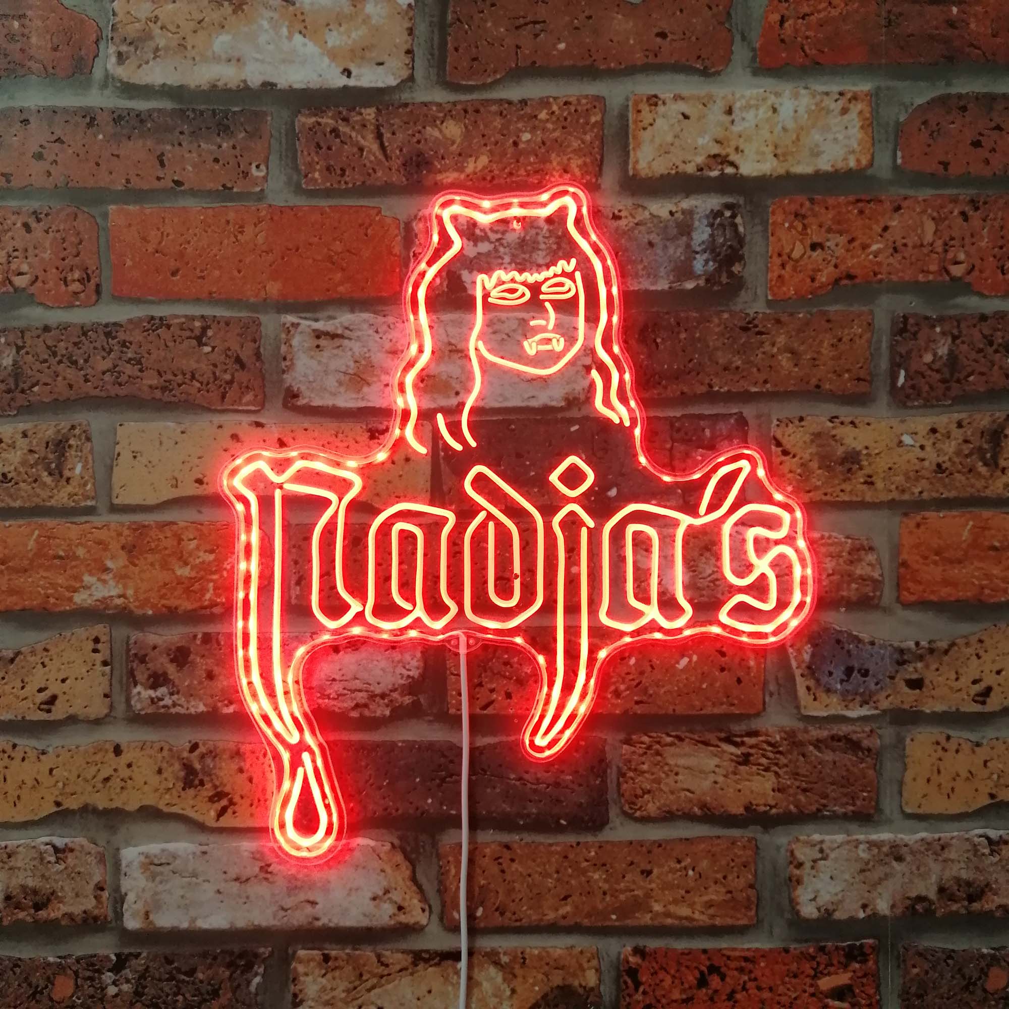 Nadja's Nightclub Neon LED Sign with Dynamic RGB Colors