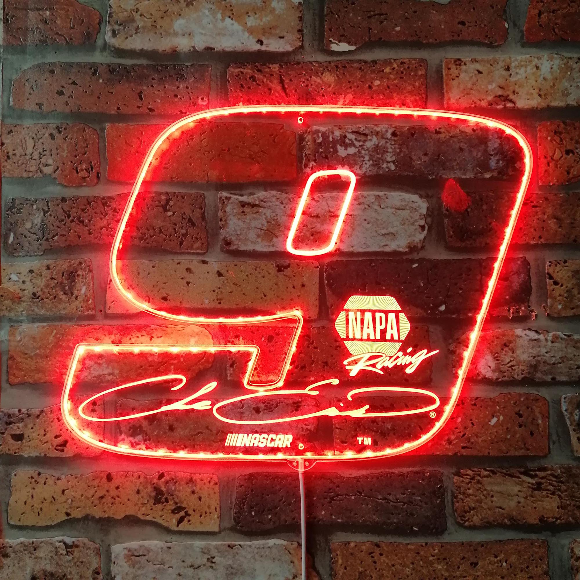 Chase Elliott #9 Large Number Dynamic RGB Edge Lit LED Sign