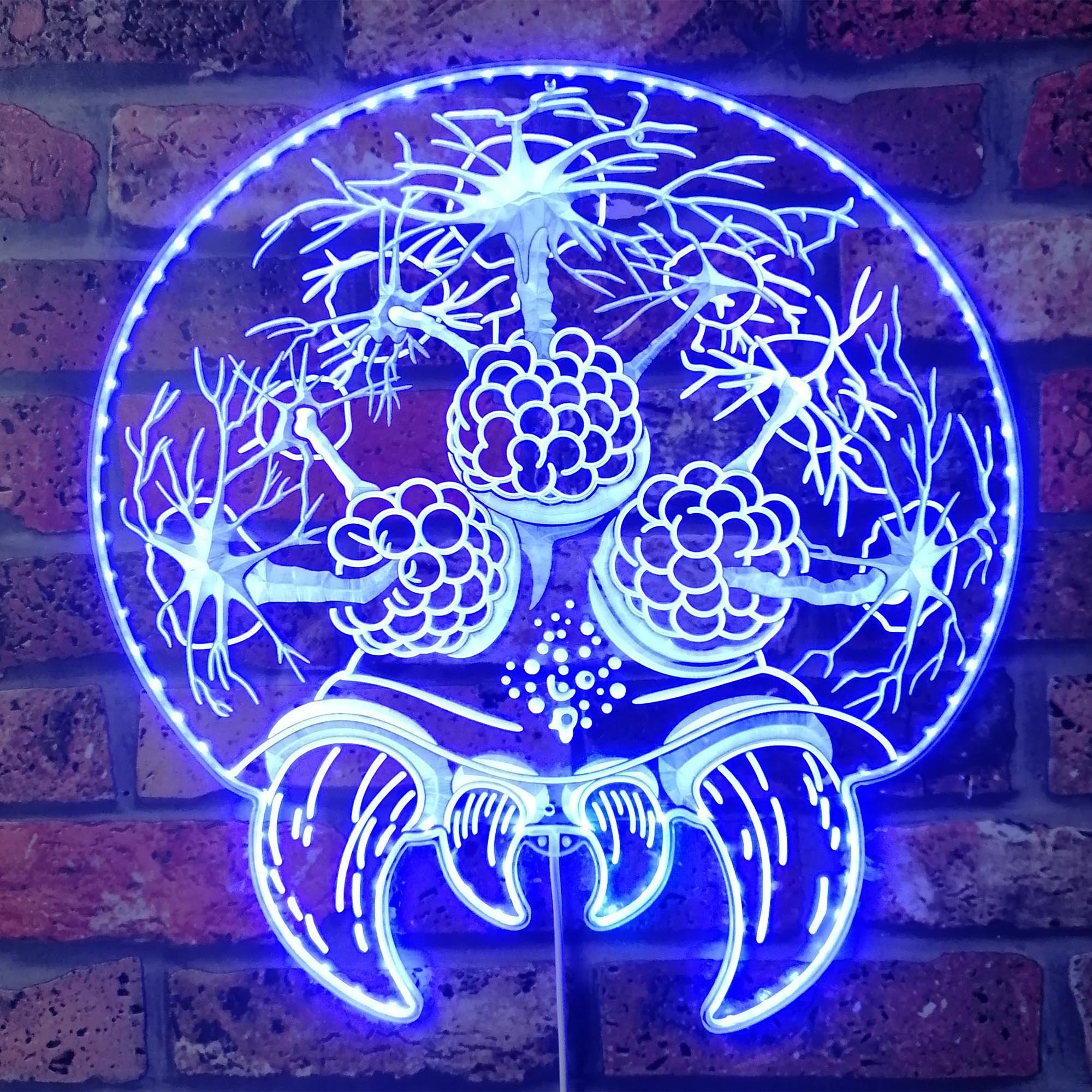 Brain of Cthulhu Dynamic RGB Edge Lit LED Sign