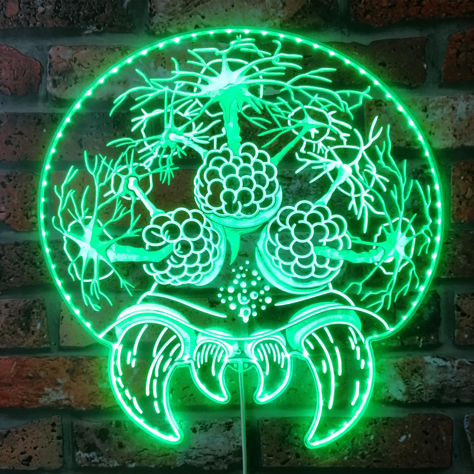 Brain of Cthulhu Dynamic RGB Edge Lit LED Sign