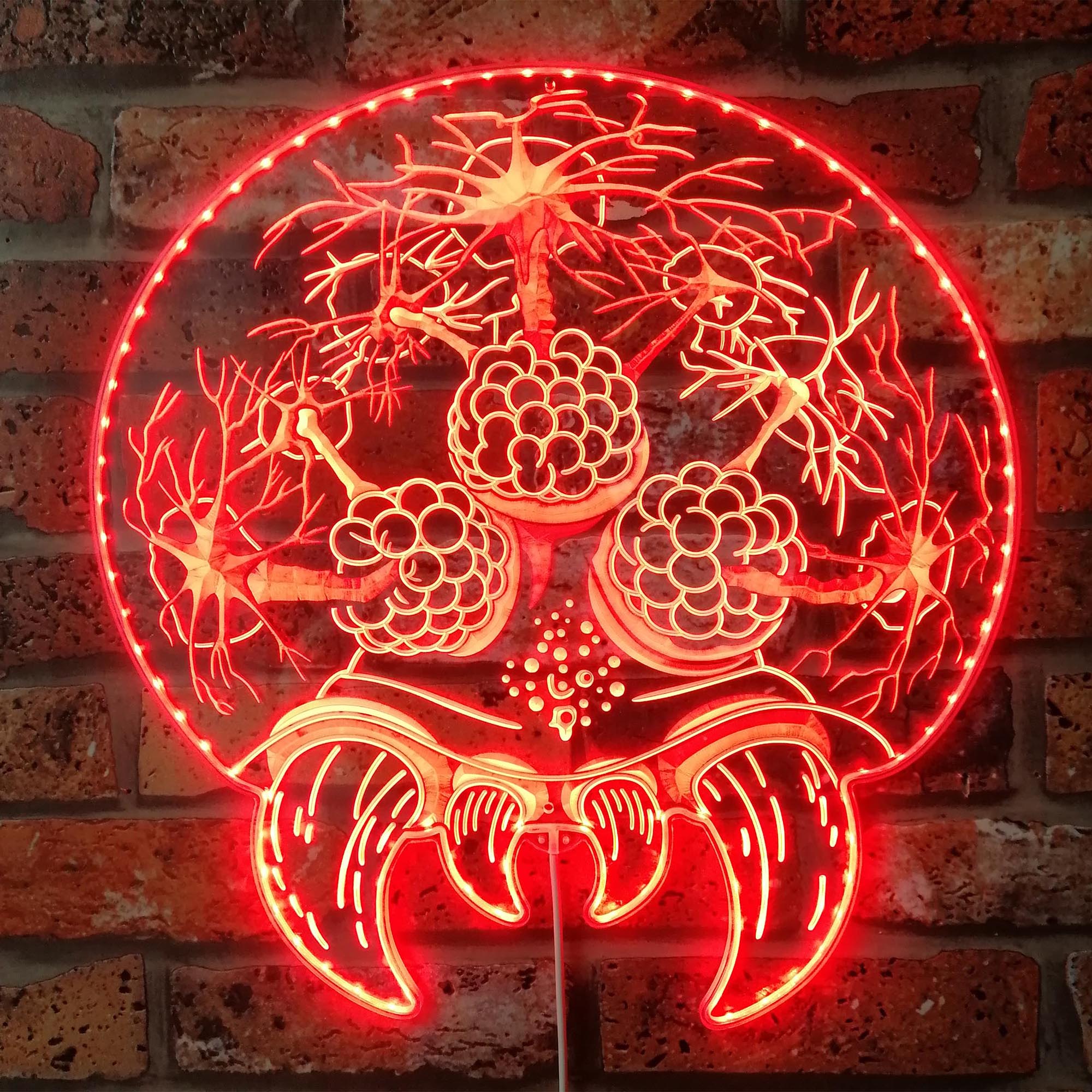 Brain of Cthulhu Dynamic RGB Edge Lit LED Sign