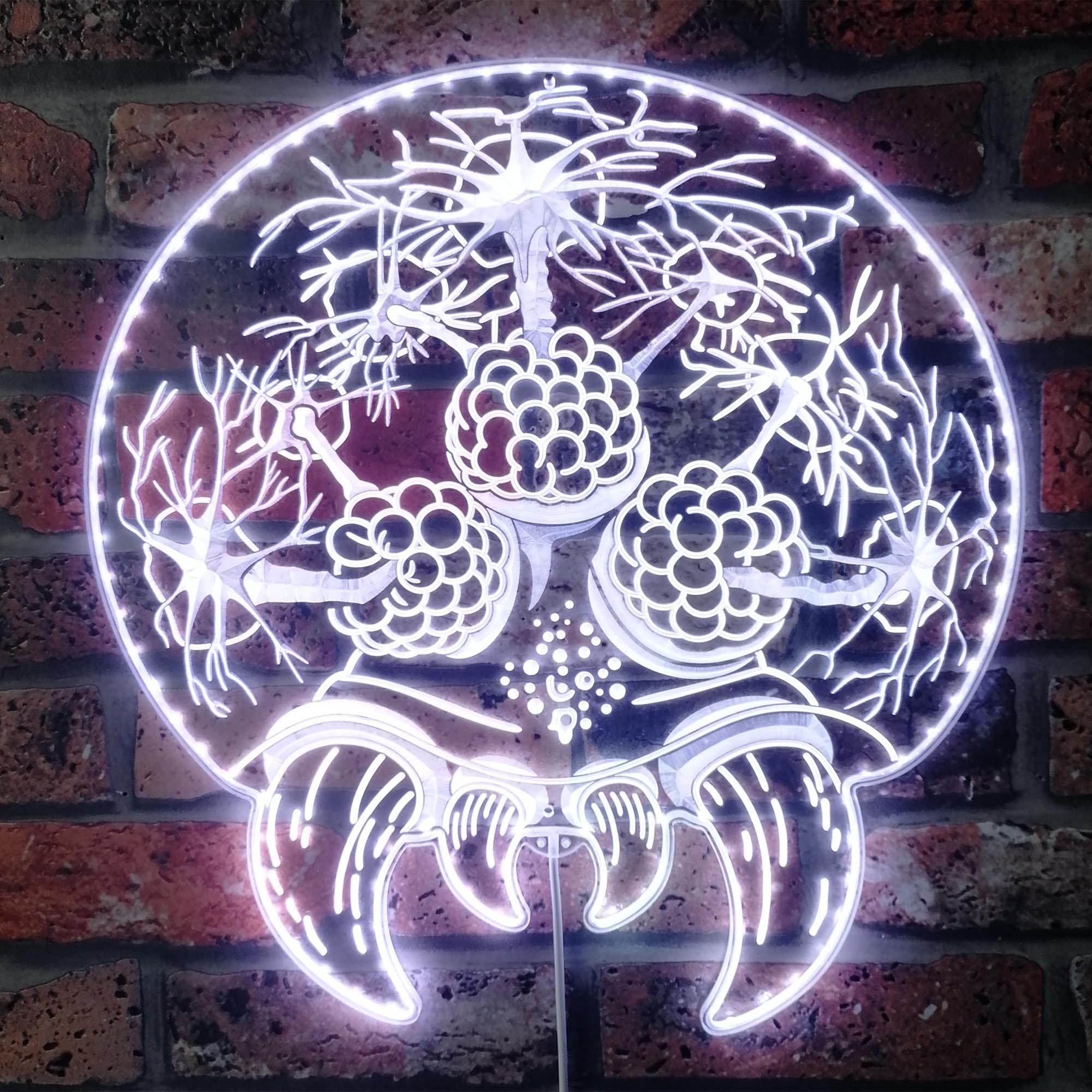 Brain of Cthulhu Dynamic RGB Edge Lit LED Sign