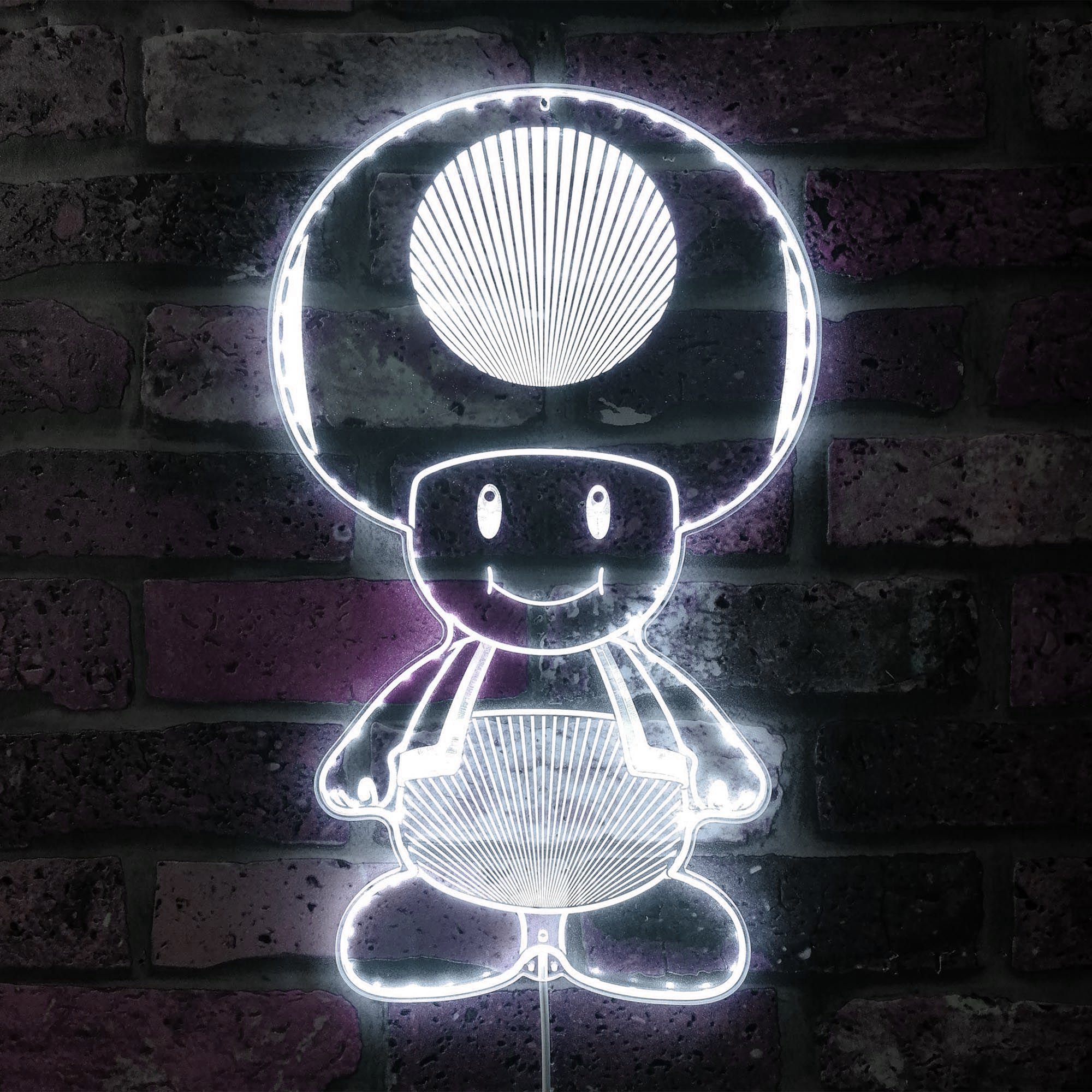 Super Mario Mushroom Toad Dynamic RGB Edge Lit LED Sign