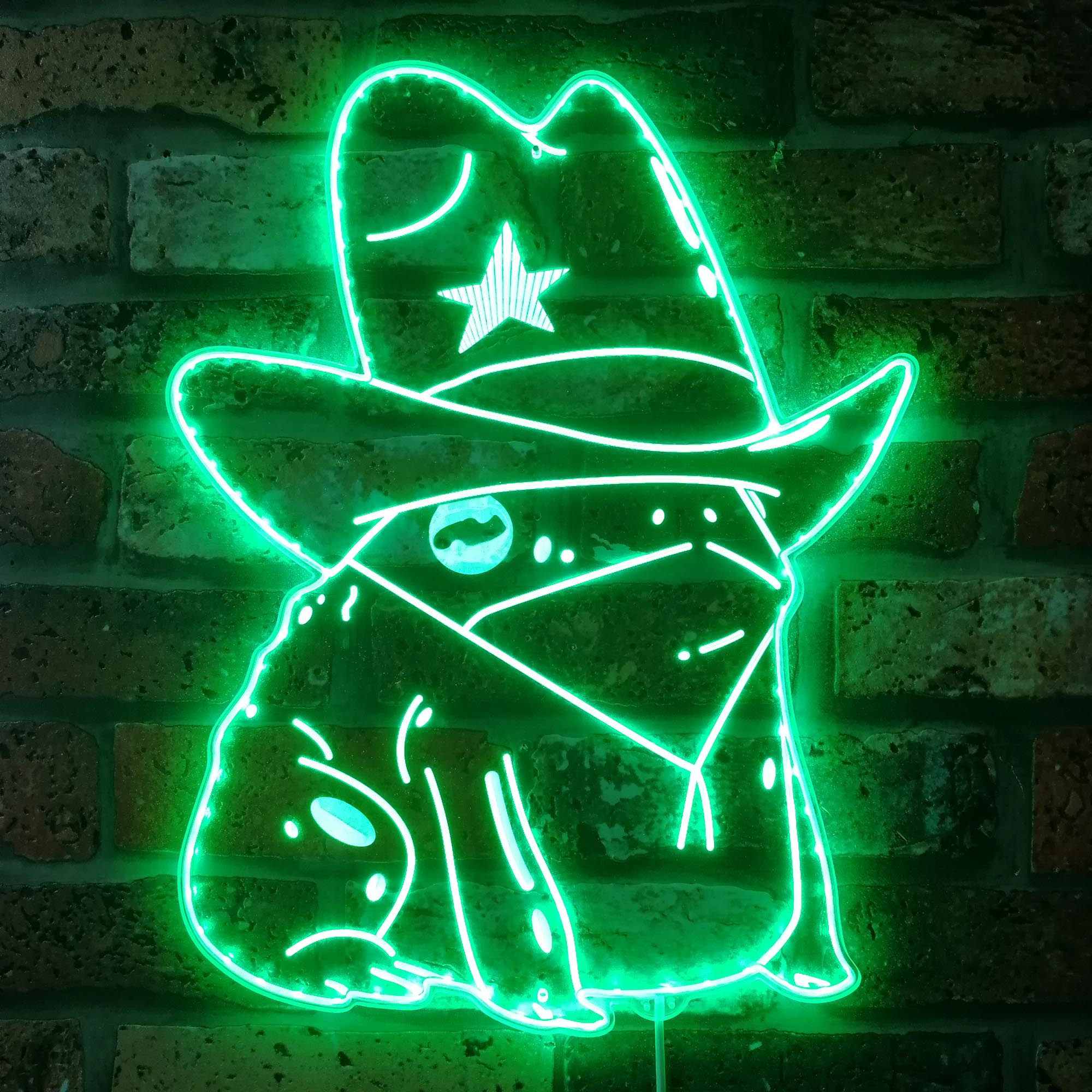 Cowgirl Frog Dynamic RGB Edge Lit LED Sign