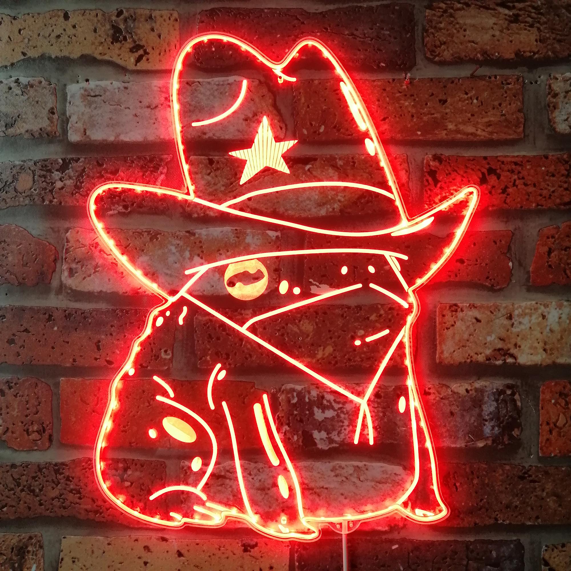 Cowgirl Frog Dynamic RGB Edge Lit LED Sign