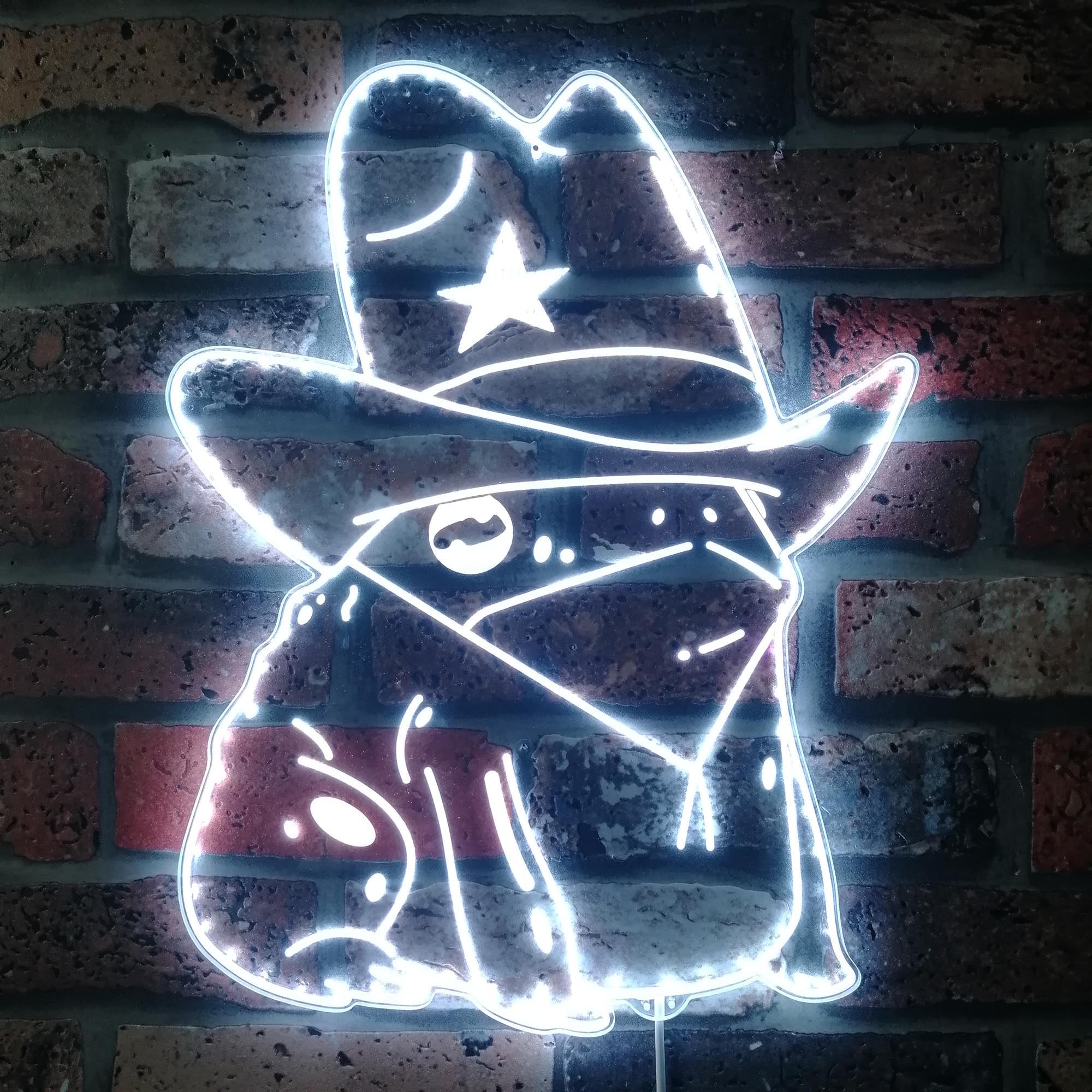 Cowgirl Frog Dynamic RGB Edge Lit LED Sign