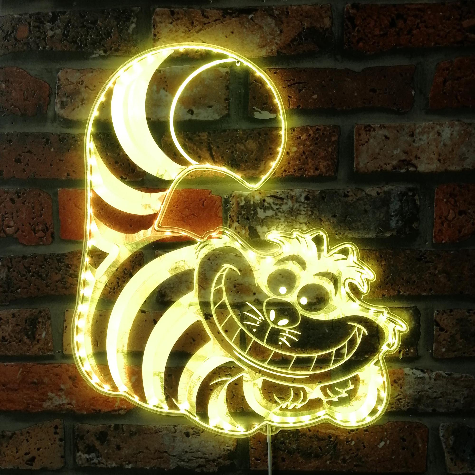 Cheshire Cat Dynamic RGB Edge Lit LED Sign