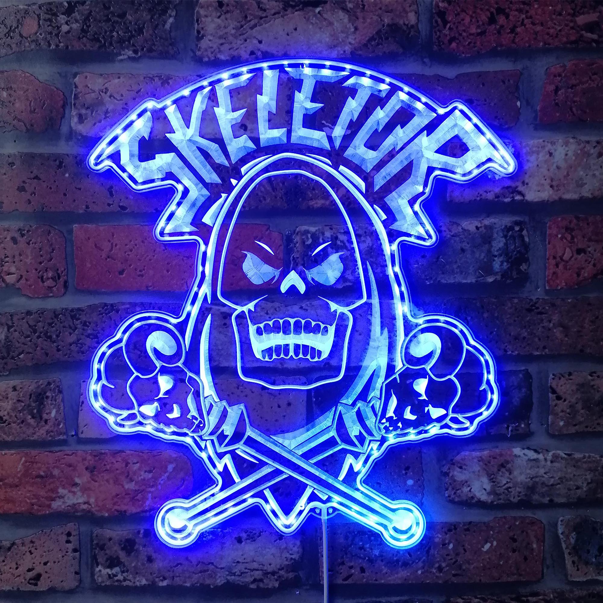 He-Man Skeletor Dynamic RGB Edge Lit LED Sign