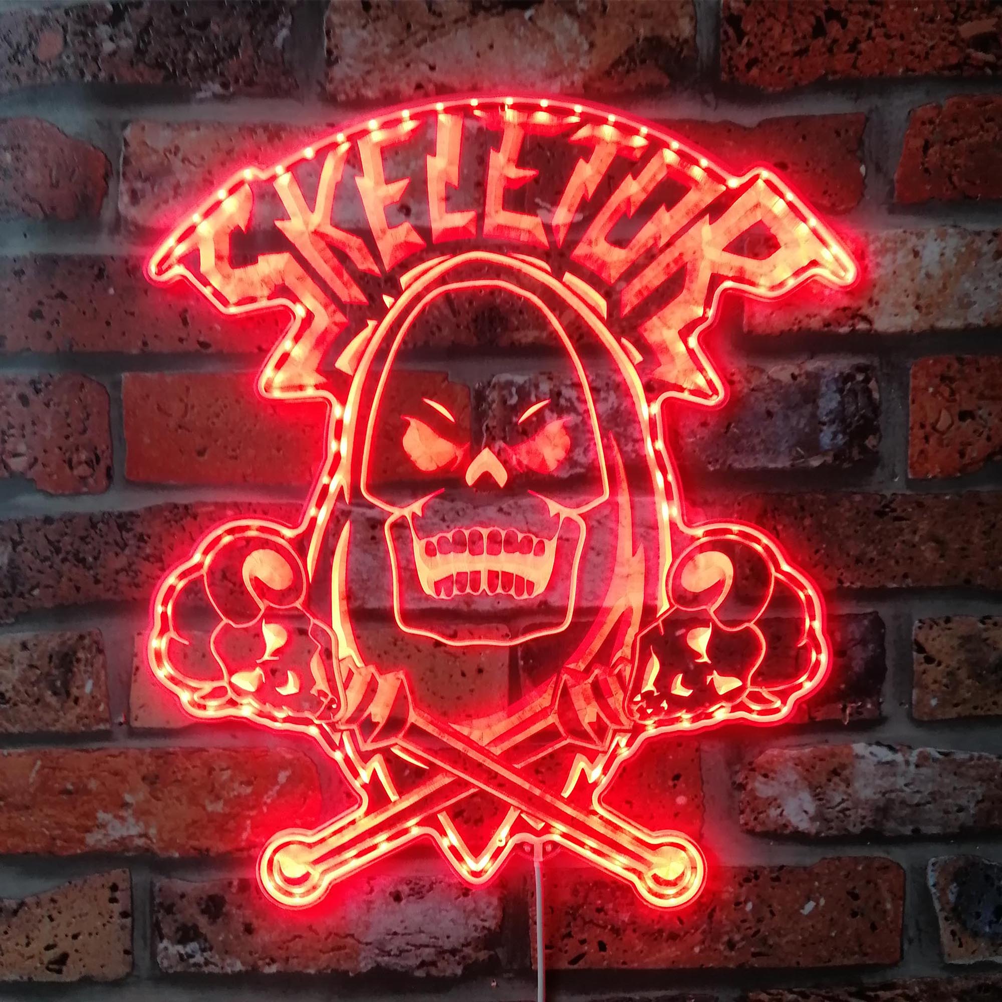 He-Man Skeletor Dynamic RGB Edge Lit LED Sign