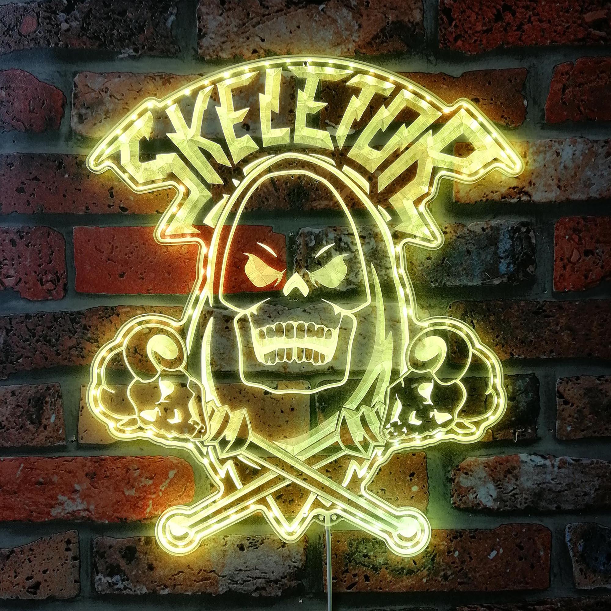 He-Man Skeletor Dynamic RGB Edge Lit LED Sign