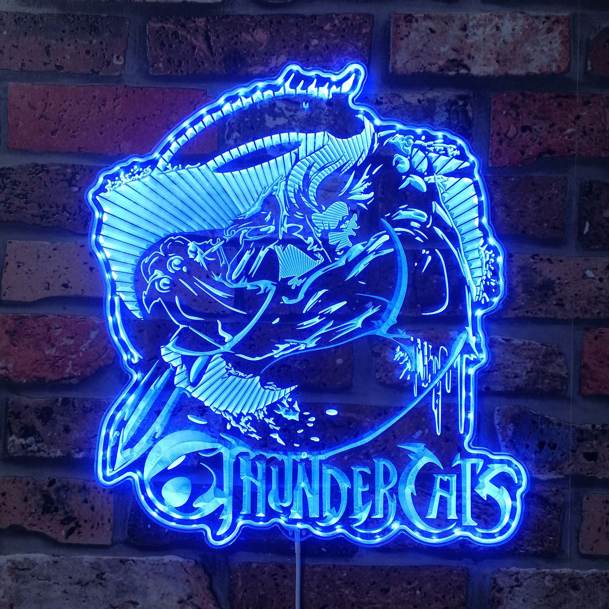 ThunderCats Dynamic RGB Edge Lit LED Sign