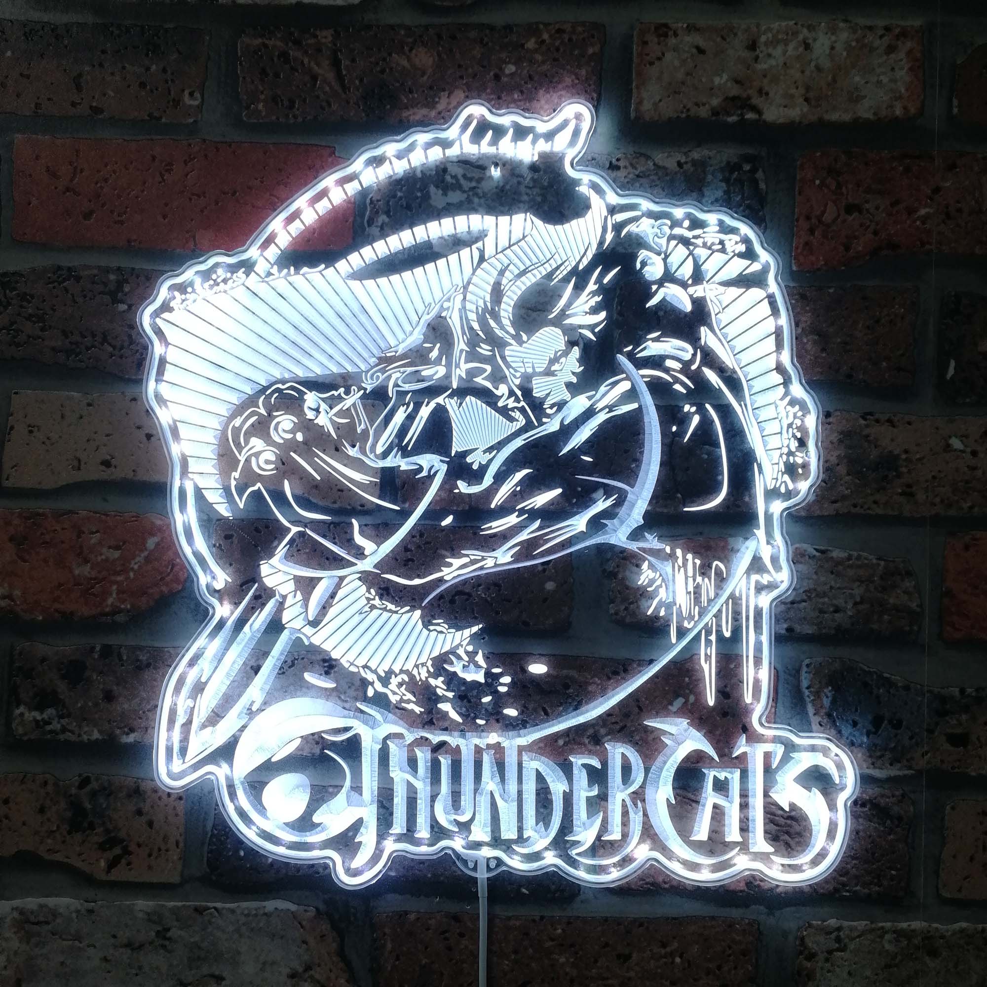 ThunderCats Dynamic RGB Edge Lit LED Sign