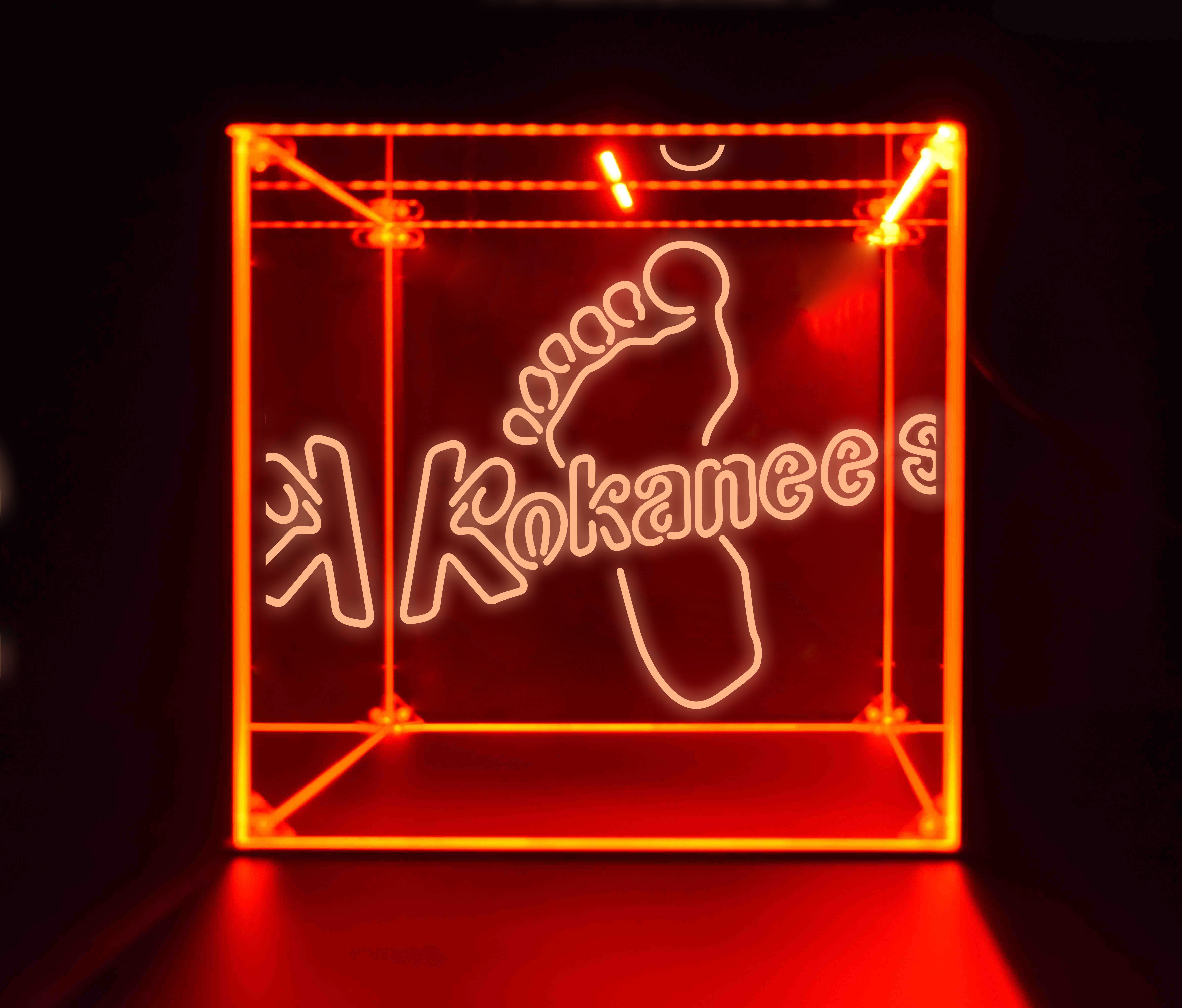 Wine, Champagne, Liquor, Beverage Bottle LED Display Case, Kokanee Foot Collection