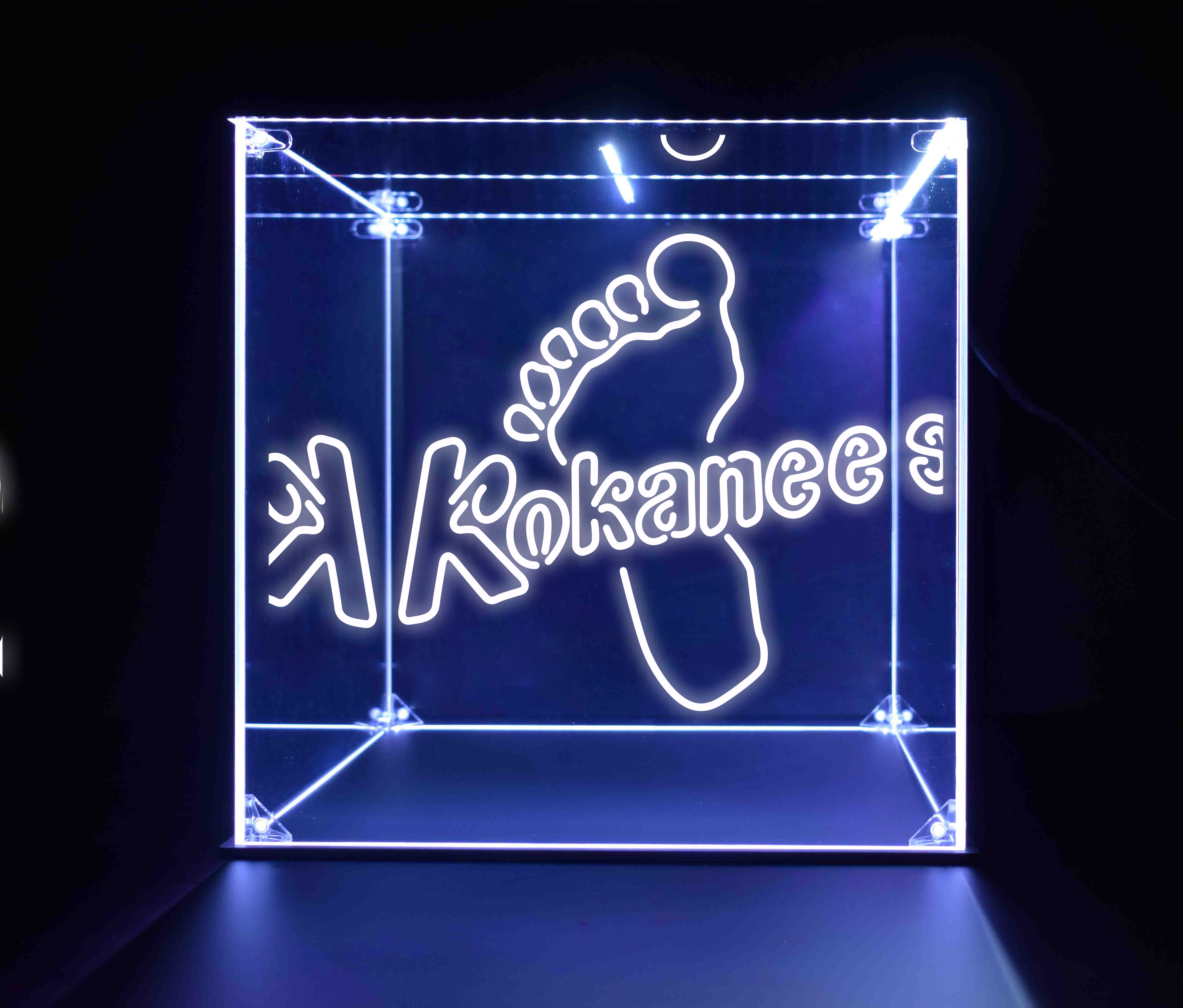 Wine, Champagne, Liquor, Beverage Bottle LED Display Case, Kokanee Foot Collection