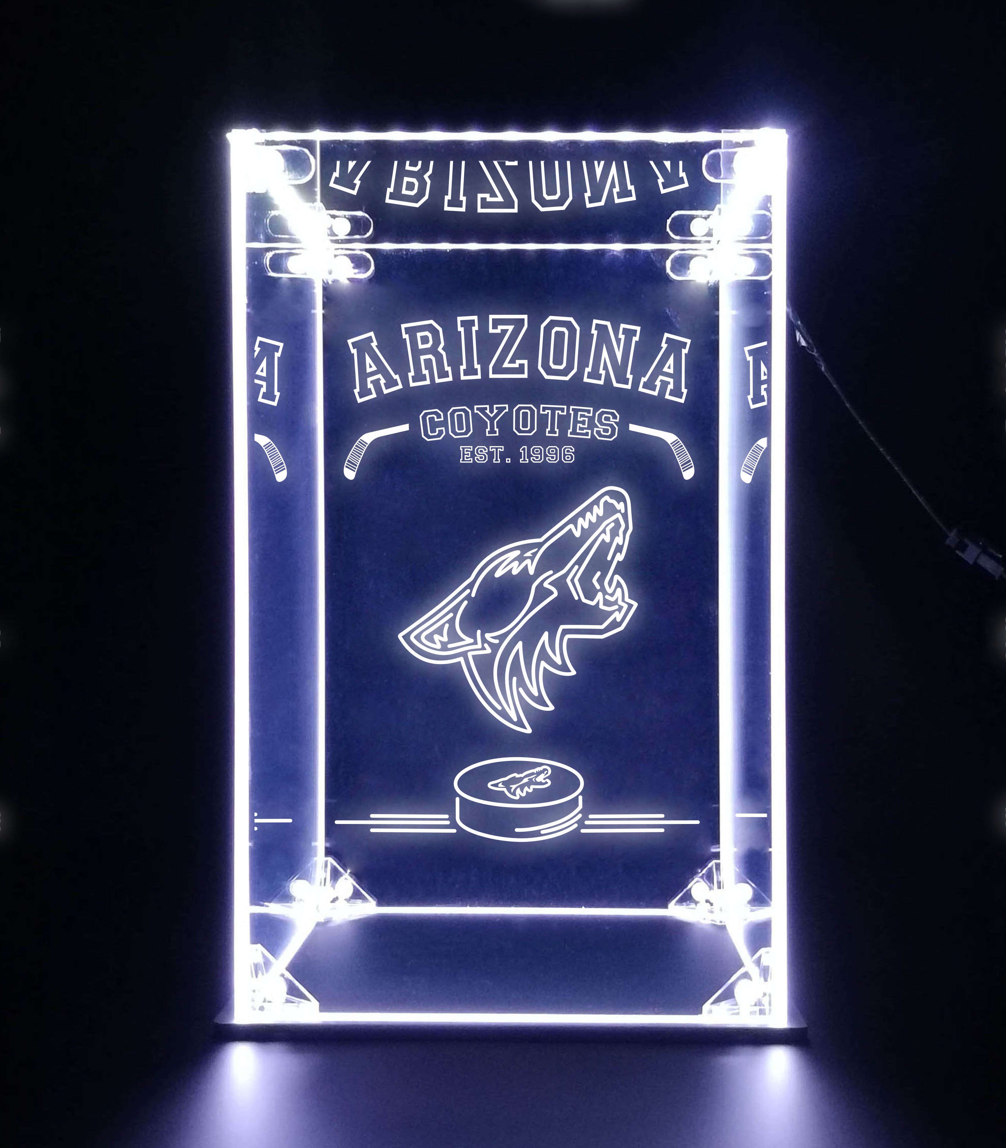 LED Display Case For Arizona Coyotes Sports Memorabilia