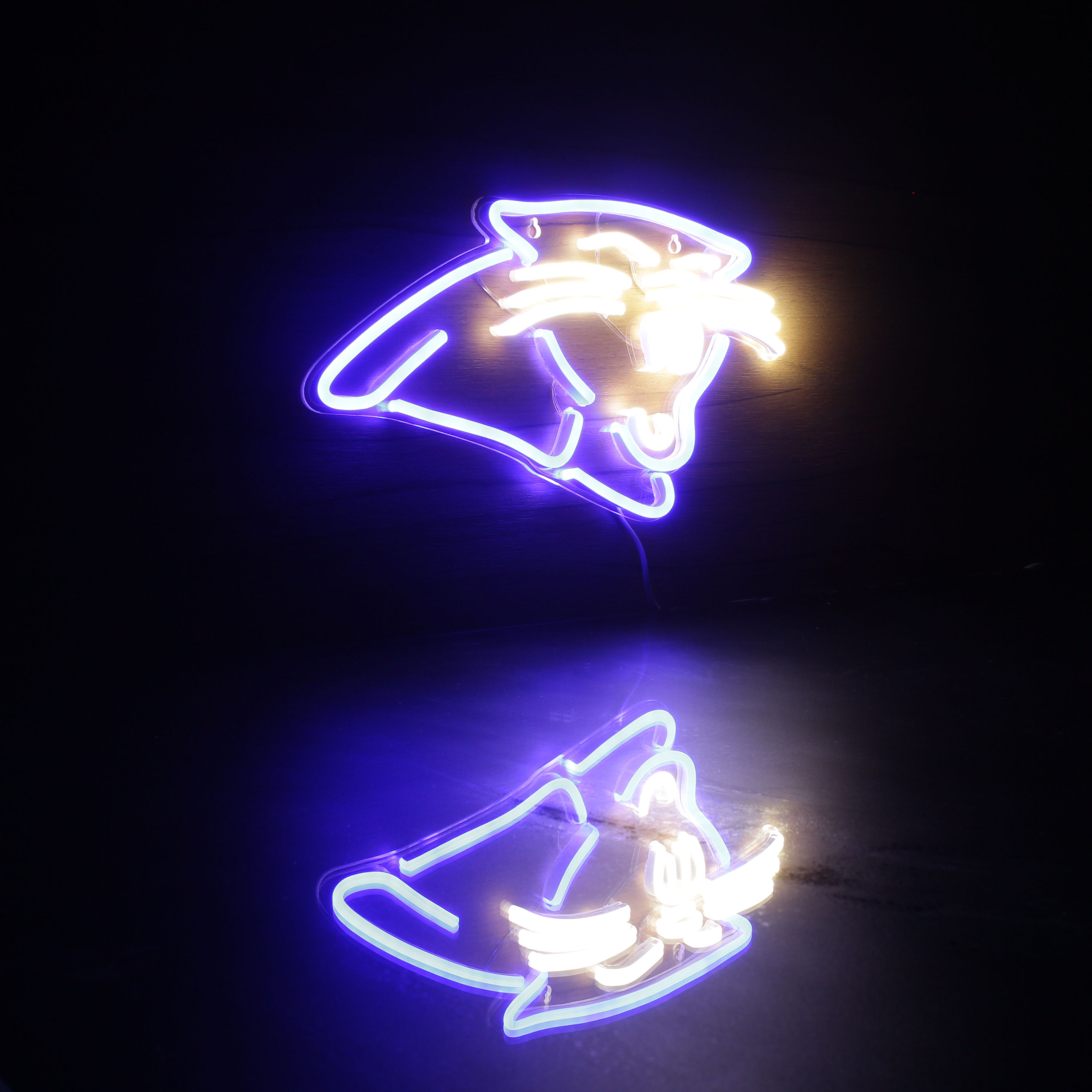 Carolina Panthers Neon-Like Flex LED Sign Dual Color - ProLedSign