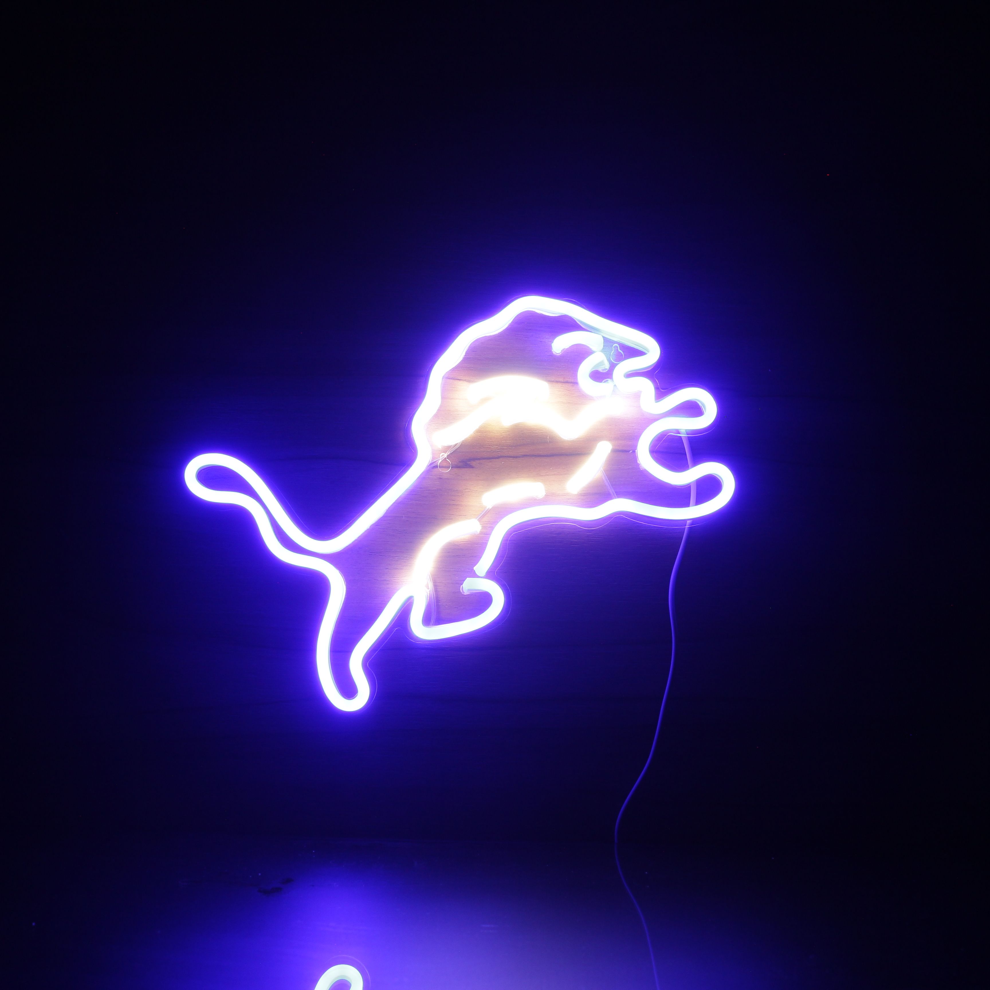 Detroit Lions Neon-Like Flex LED Sign Dual Color - ProLedSign