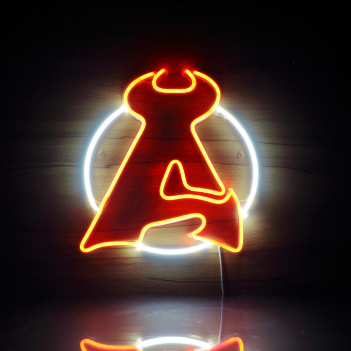 New Jersey Devils Handmade Neon Flex LED Sign