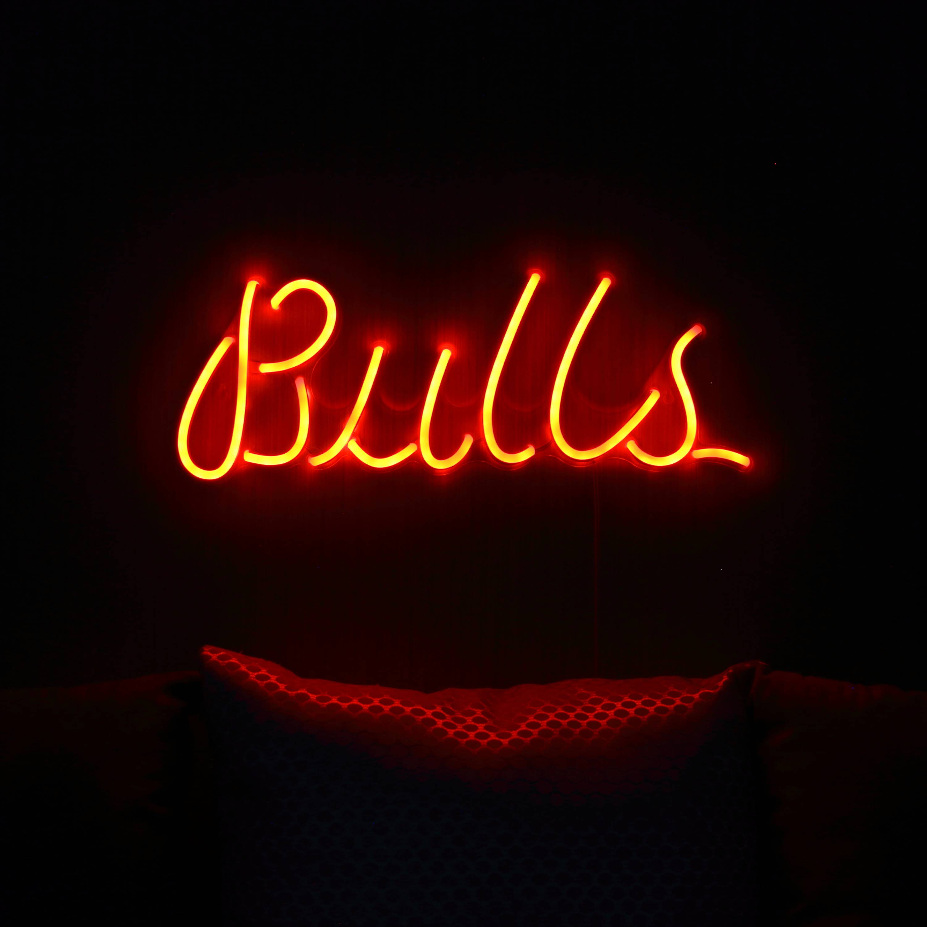 NBA Chicago Bulls Large Flex Neon LED Sign