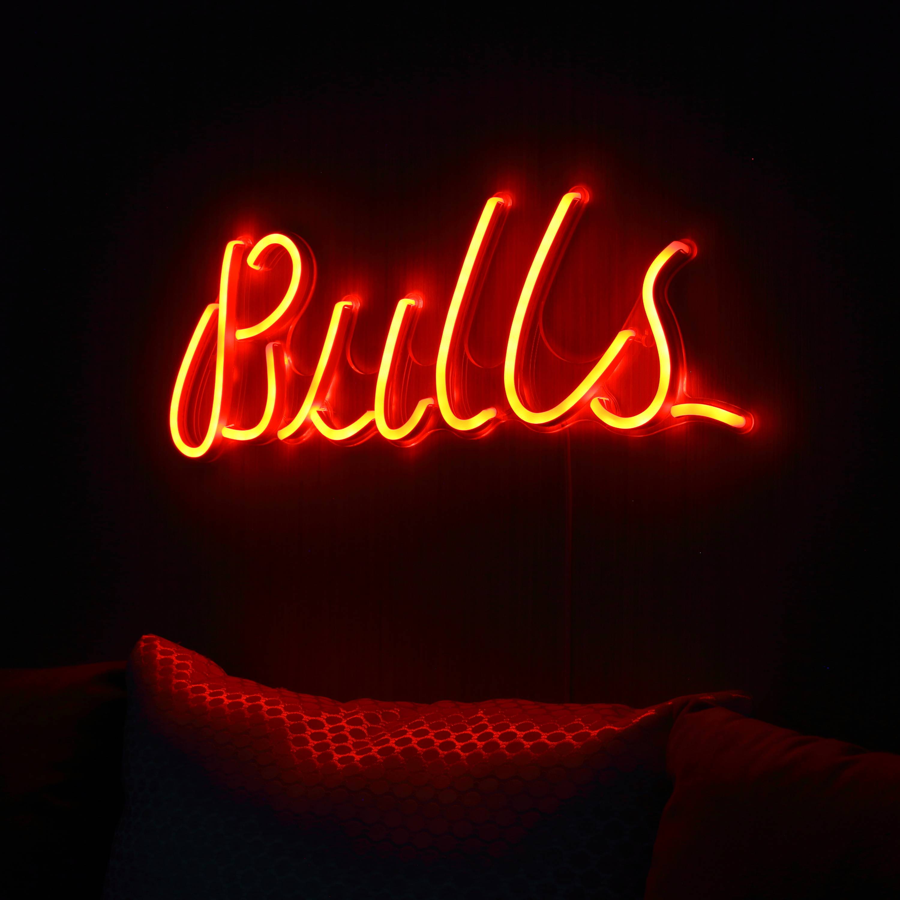 NBA Chicago Bulls Large Flex Neon LED Sign