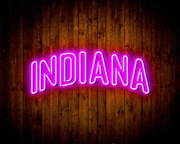 Indiana Pacers Handmade Neon Flex LED Sign