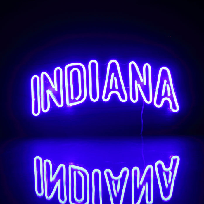 Indiana Pacers Logo 4 Handmade Neon Flex LED Sign